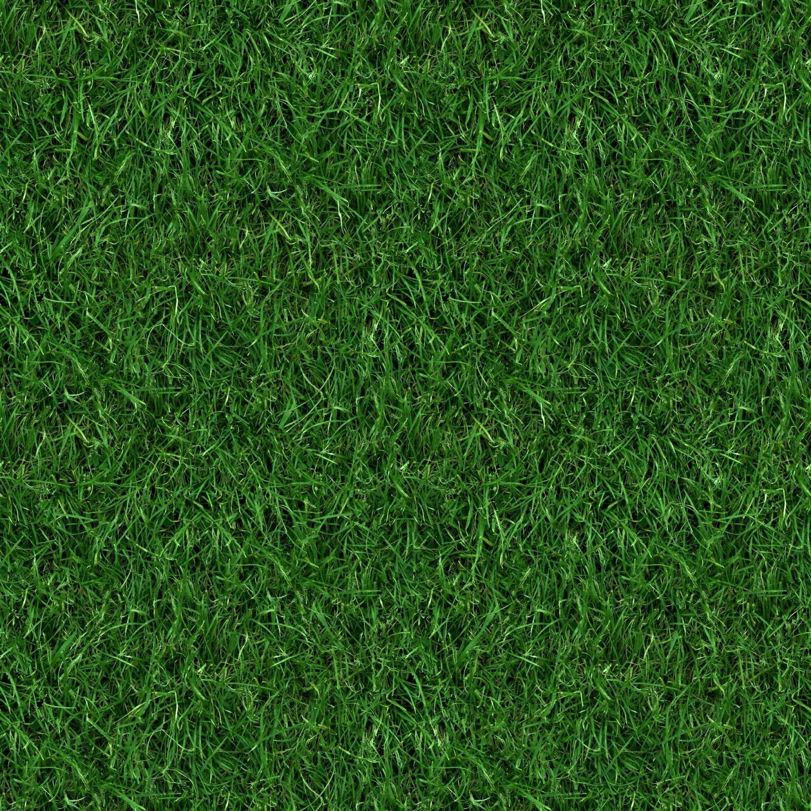 1600x1600 Wallpapers Top Free 1600x1600 Backgrounds WallpaperAccess