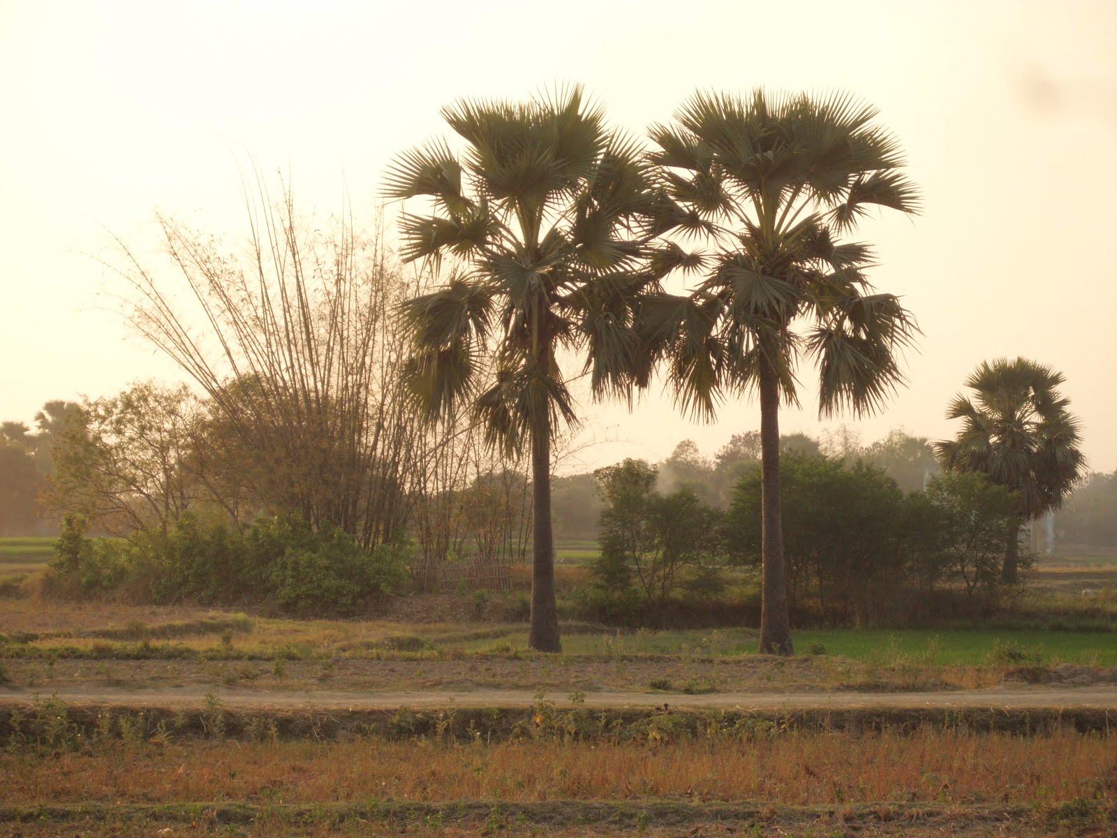 Bangladesh Nature Wallpapers Top Free Bangladesh Nature Backgrounds