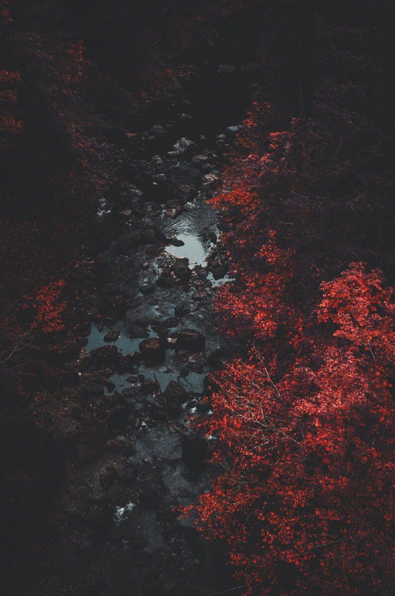 iPhone Home Screen Wallpapers Top Free iPhone Home Screen Backgrounds