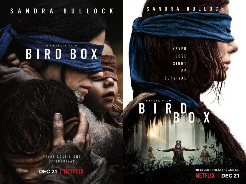 Bird Box Wallpapers Top Free Bird Box Backgrounds WallpaperAccess