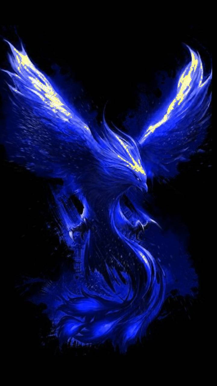Cool Blue Phoenix Wallpapers Top Free Cool Blue Phoenix Backgrounds
