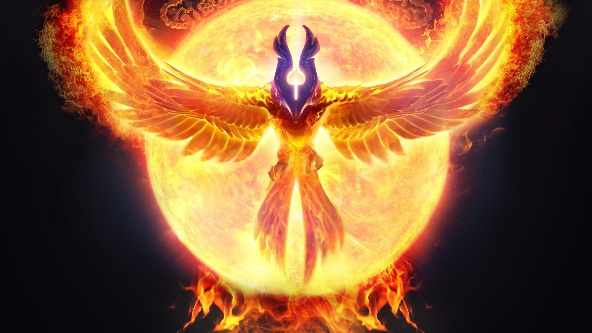 Cool Phoenix Wallpapers Top Free Cool Phoenix Backgrounds