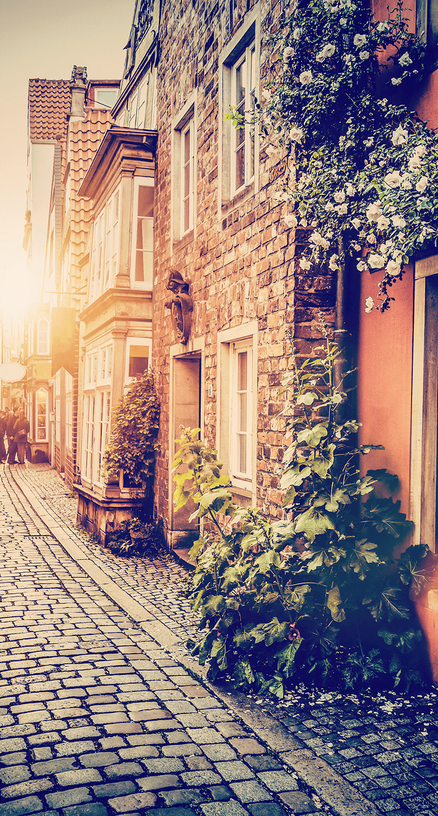 Spanish iPhone Wallpapers Top Free Spanish iPhone Backgrounds WallpaperAccess