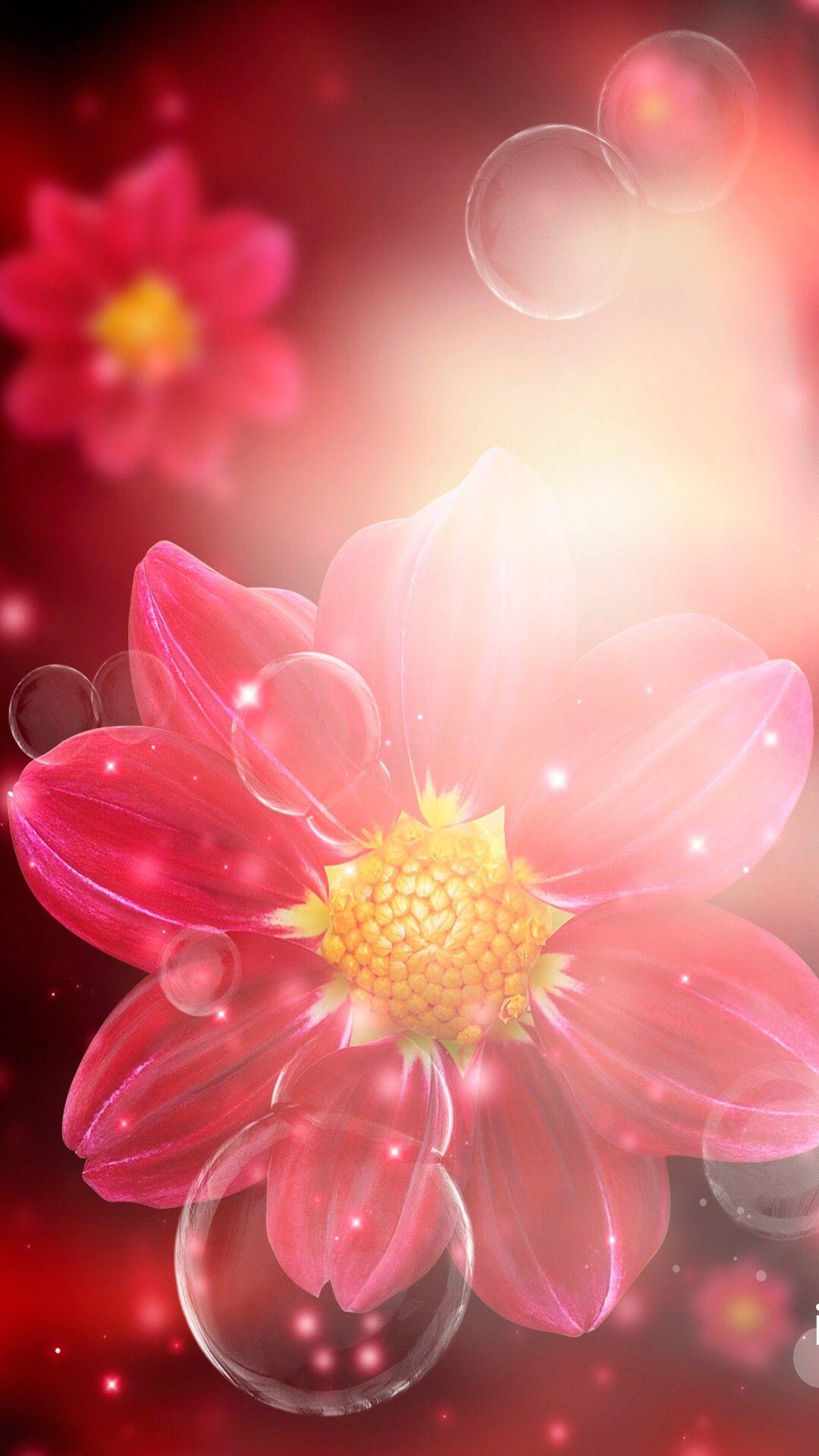 Spanish iPhone Wallpapers Top Free Spanish iPhone Backgrounds WallpaperAccess