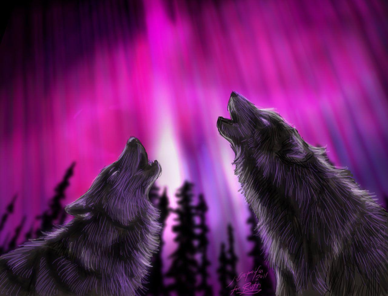 Pink Wolf Wallpapers Top Free Pink Wolf Backgrounds WallpaperAccess