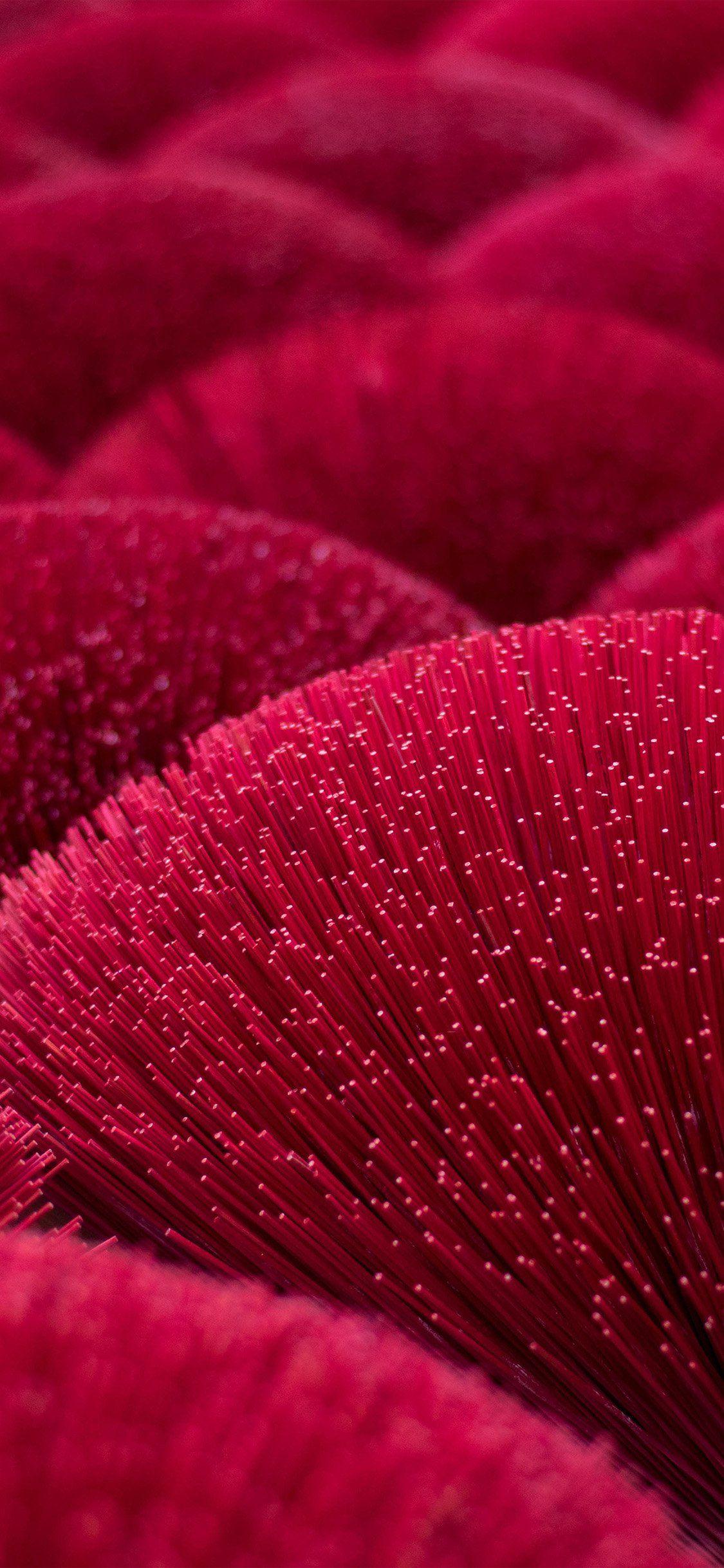 iPhone X Red Wallpapers Top Free iPhone X Red Backgrounds