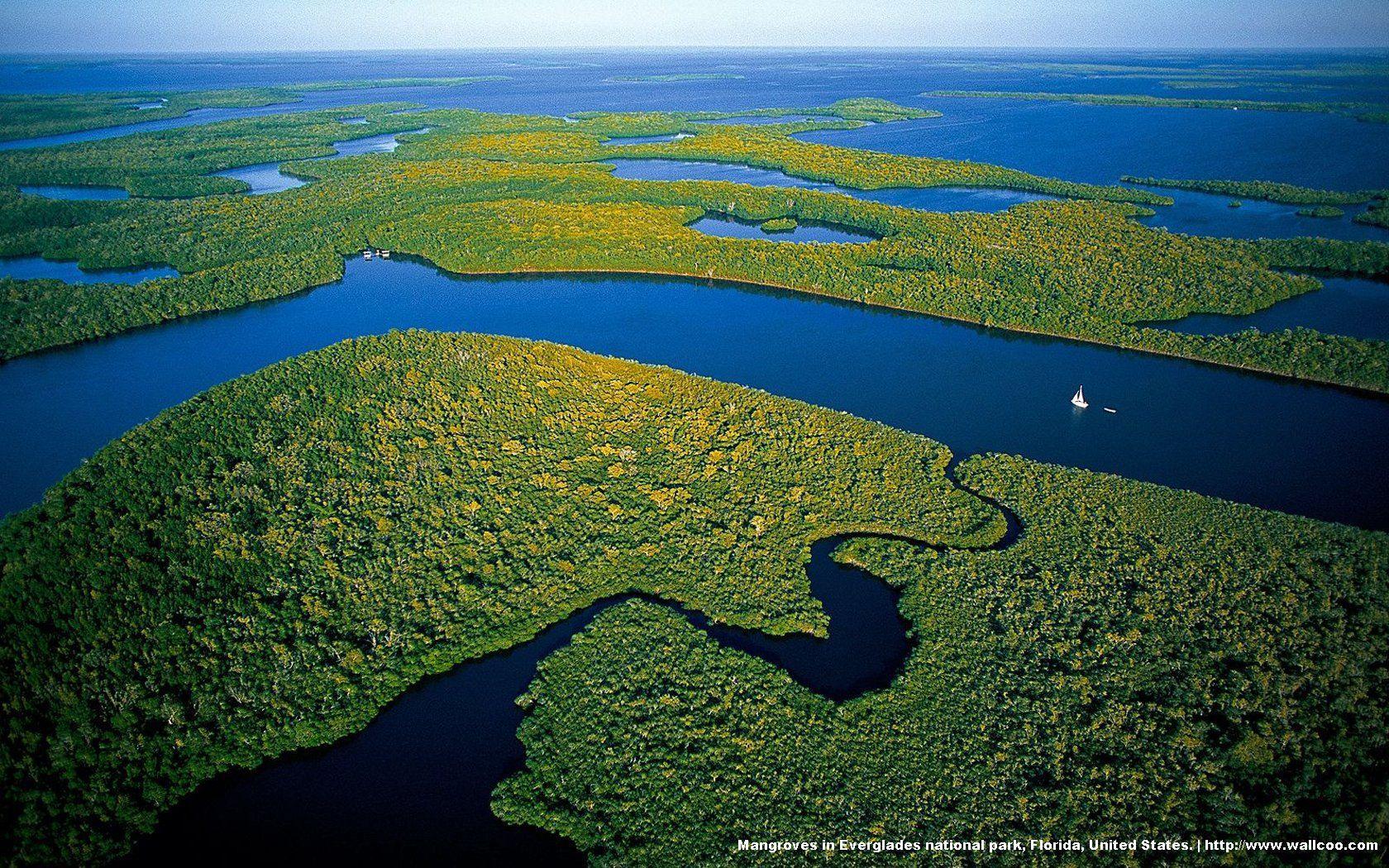 Everglades Wallpapers Top Free Everglades Backgrounds WallpaperAccess