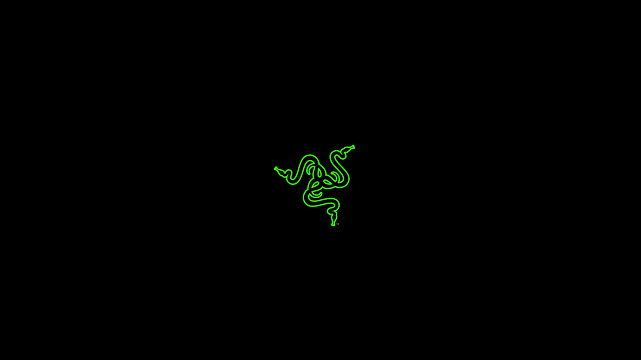 Green Gamer Wallpapers Top Free Green Gamer Backgrounds WallpaperAccess