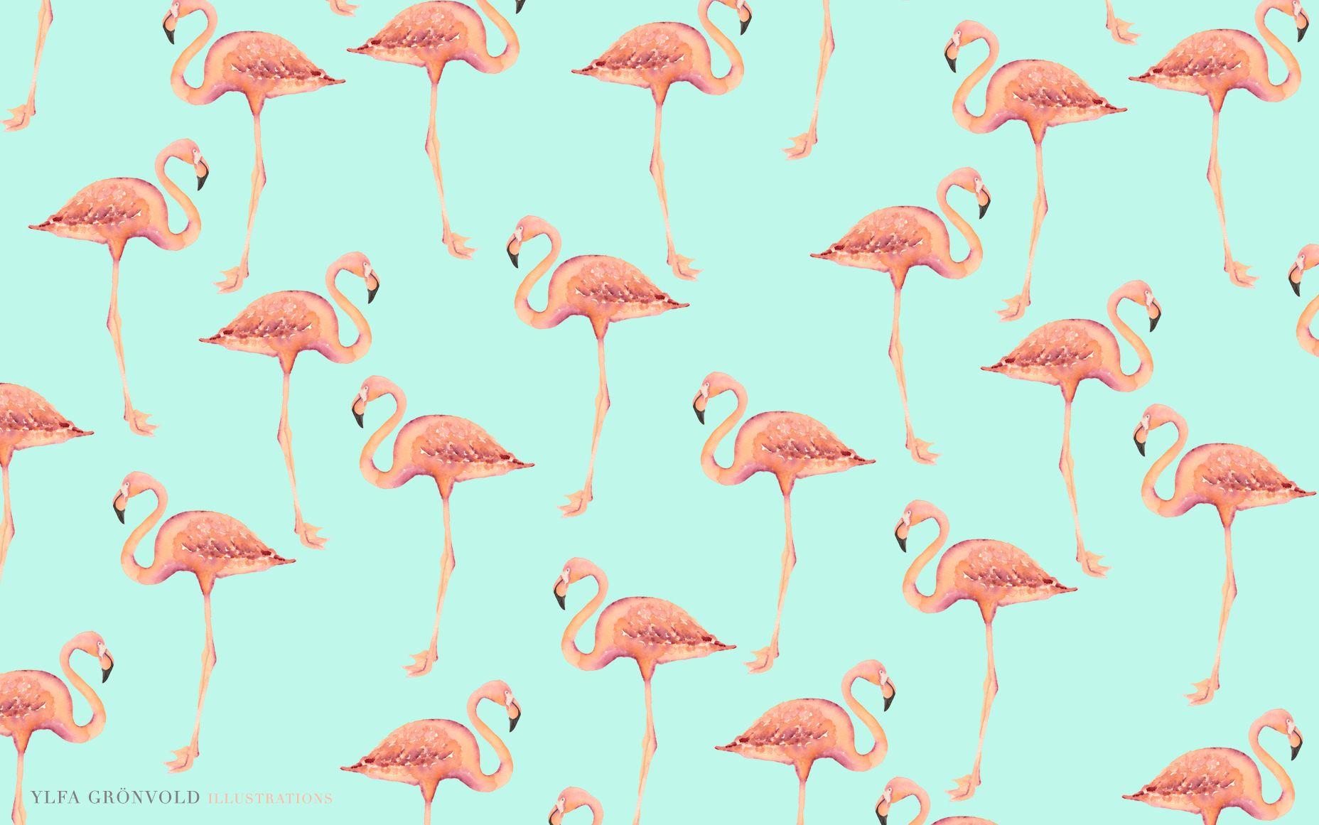 Flamingo Desktop Wallpapers Top Free Flamingo Desktop Backgrounds