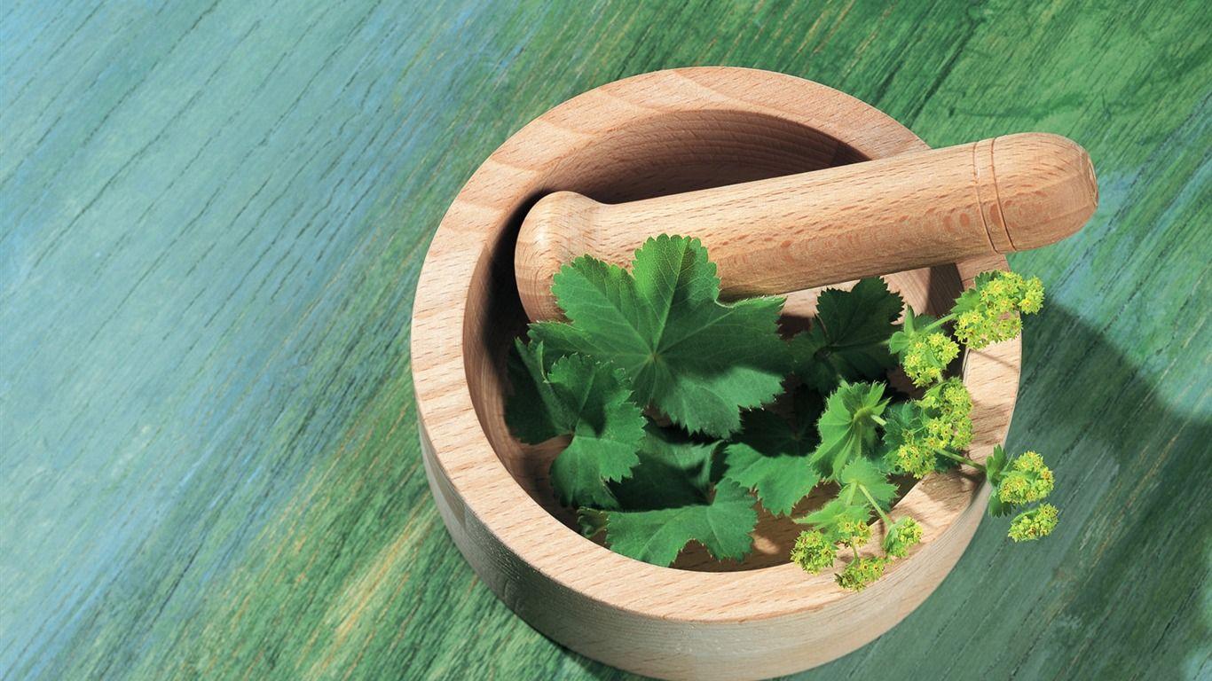 Herbal Wallpapers Top Free Herbal Backgrounds WallpaperAccess