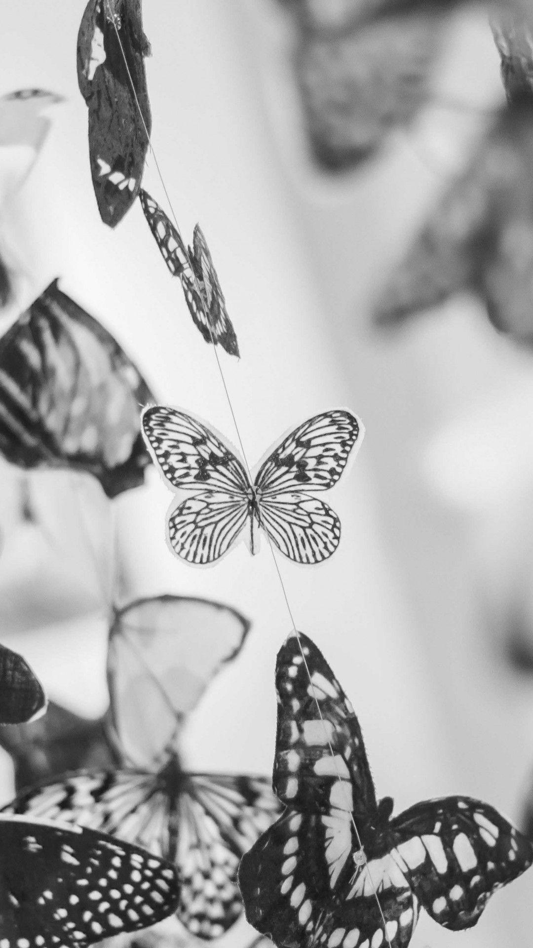 Black and White Butterfly Wallpapers Top Free Black and White