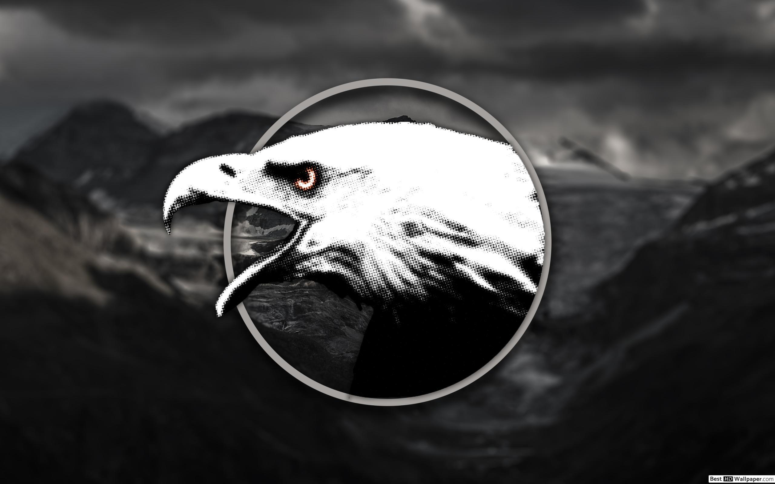 Black Eagle HD Wallpapers Top Free Black Eagle HD Backgrounds
