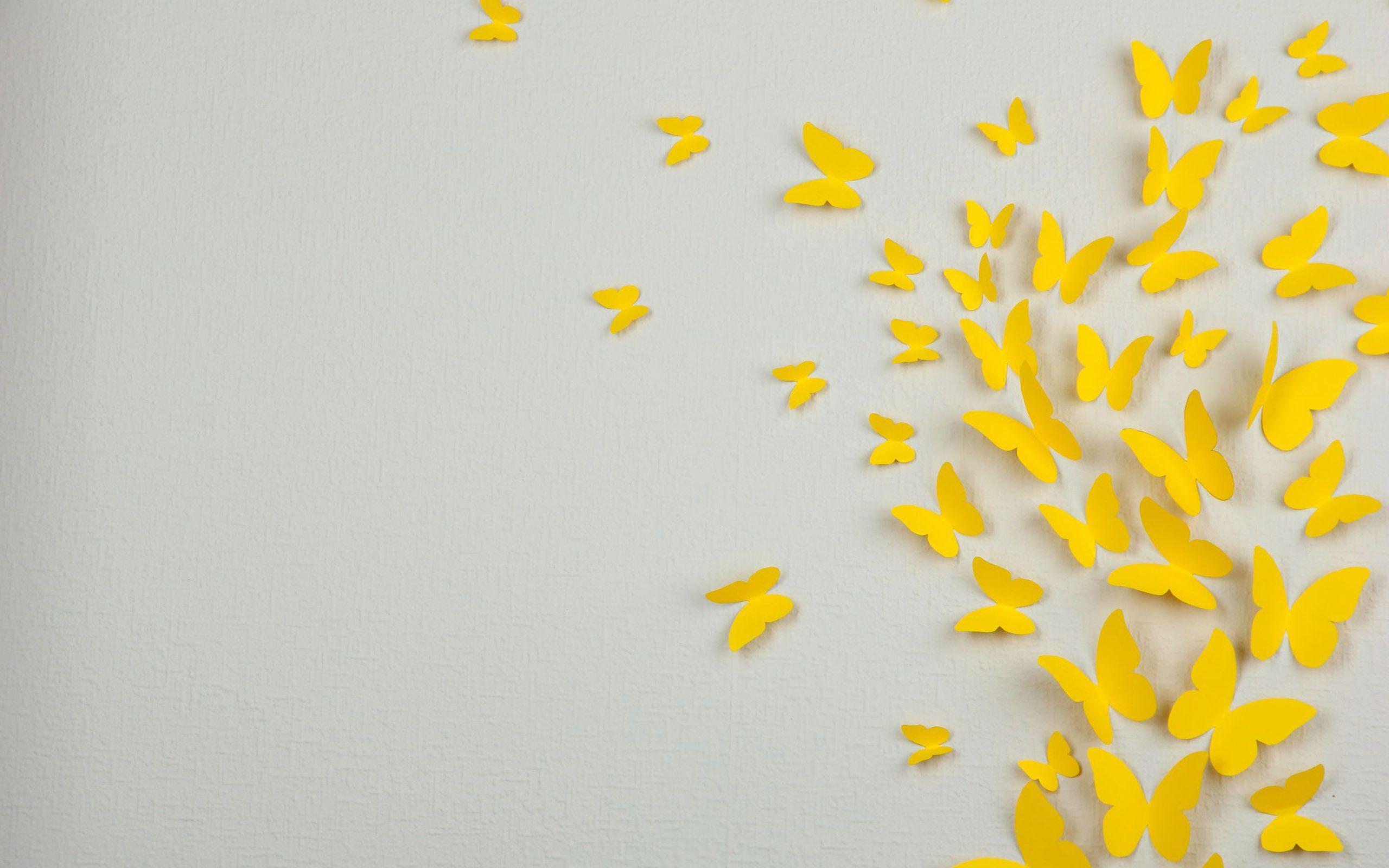 Yellow and White Wallpapers Top Free Yellow and White Backgrounds