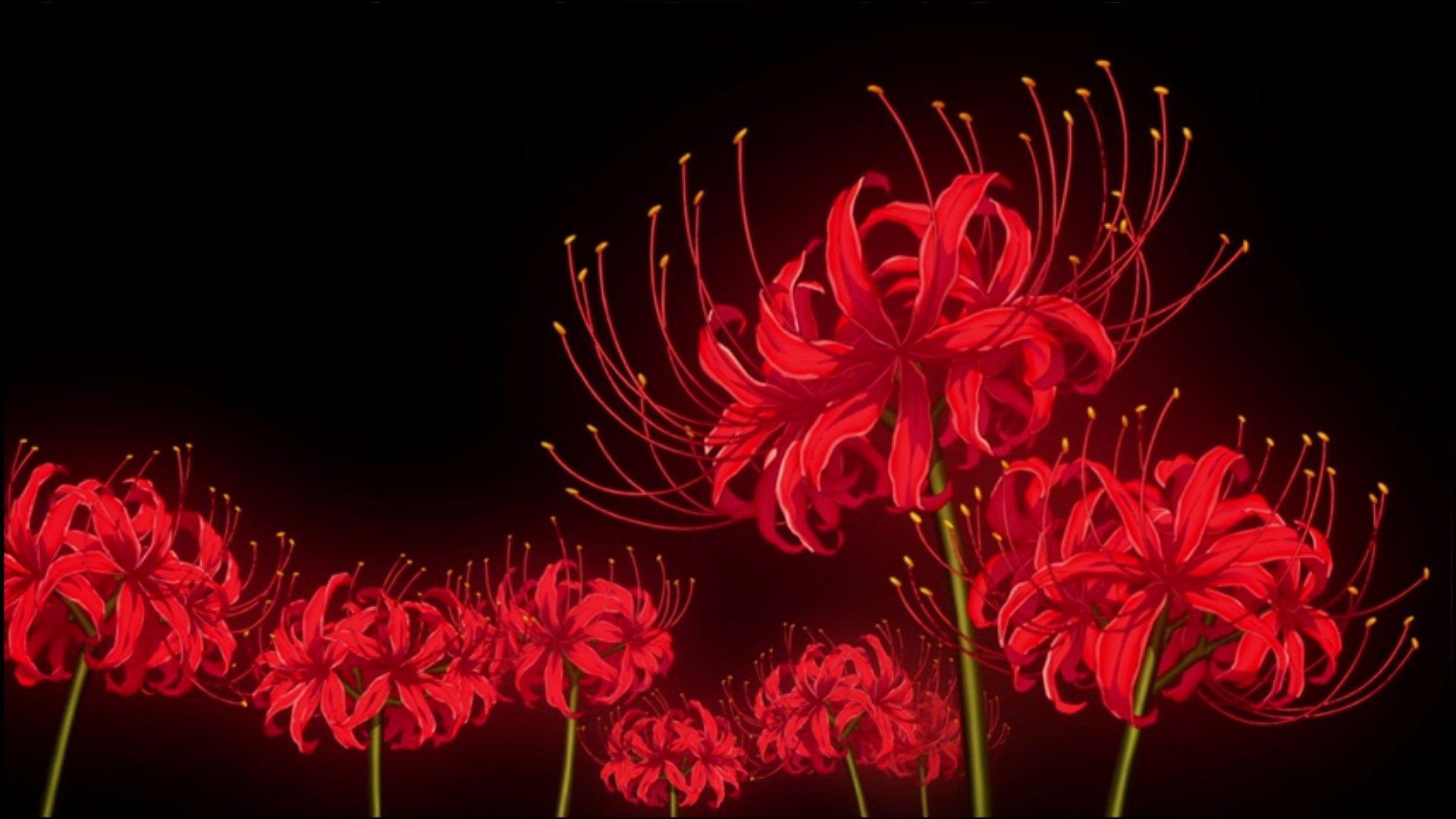 Red Spider Lily Anime Wallpaper
