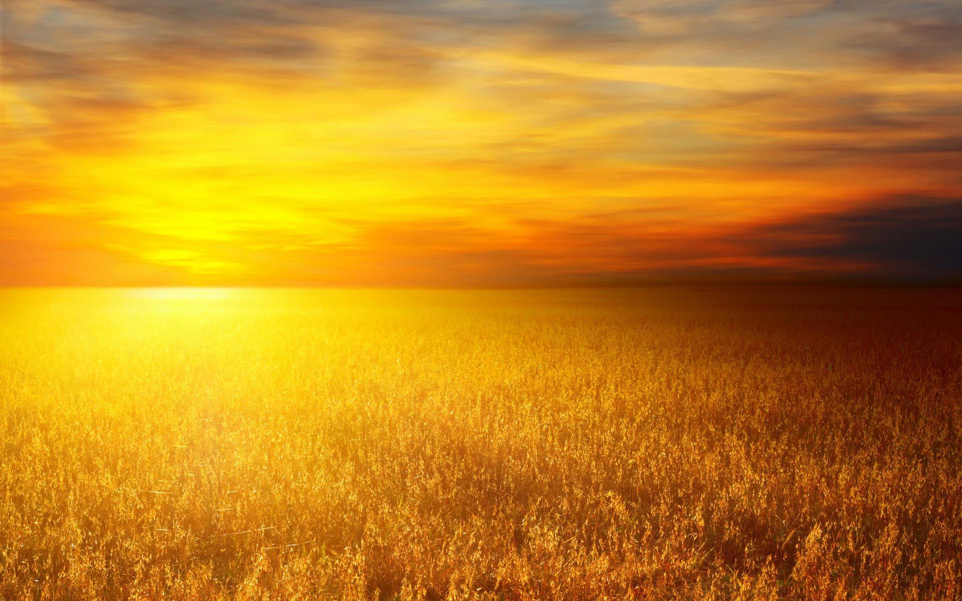 Yellow Sky Wallpapers Top Free Yellow Sky Backgrounds WallpaperAccess