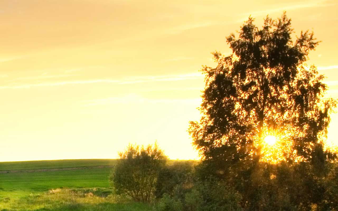 Yellow Sky Wallpapers Top Free Yellow Sky Backgrounds WallpaperAccess