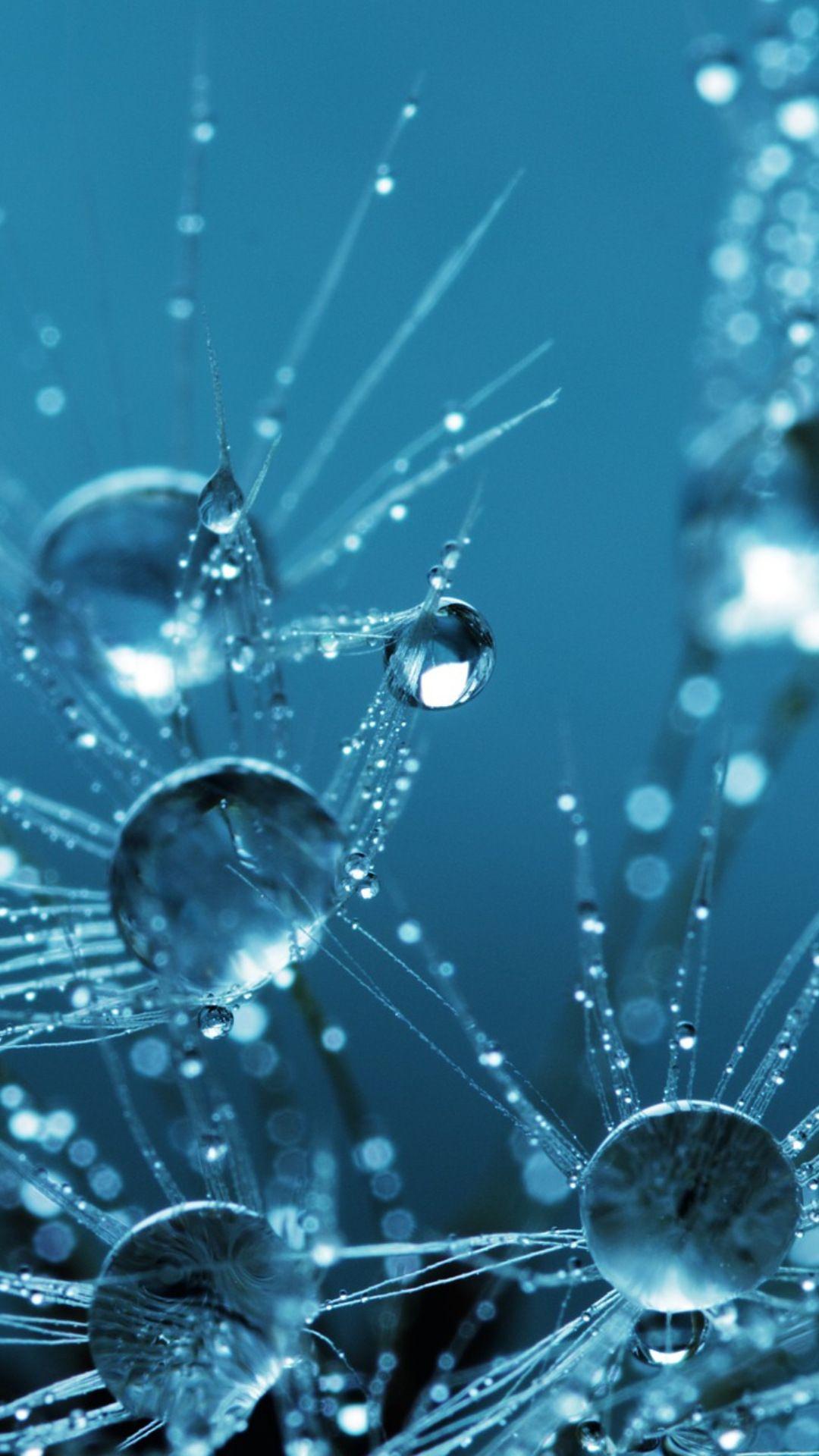 Cool Water Drops Wallpaper