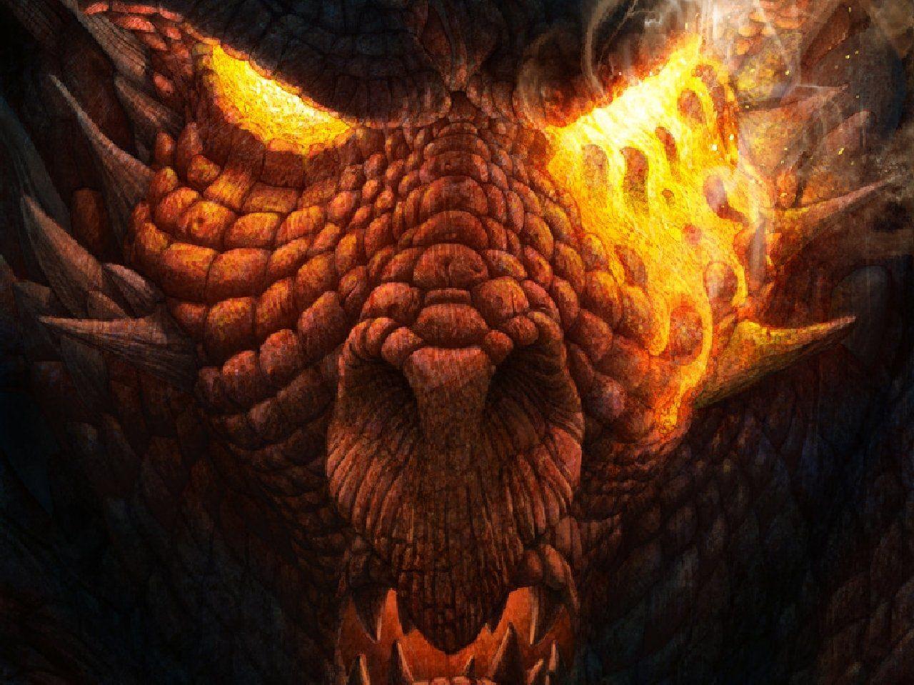 Orange Dragon Wallpapers Top Free Orange Dragon Backgrounds