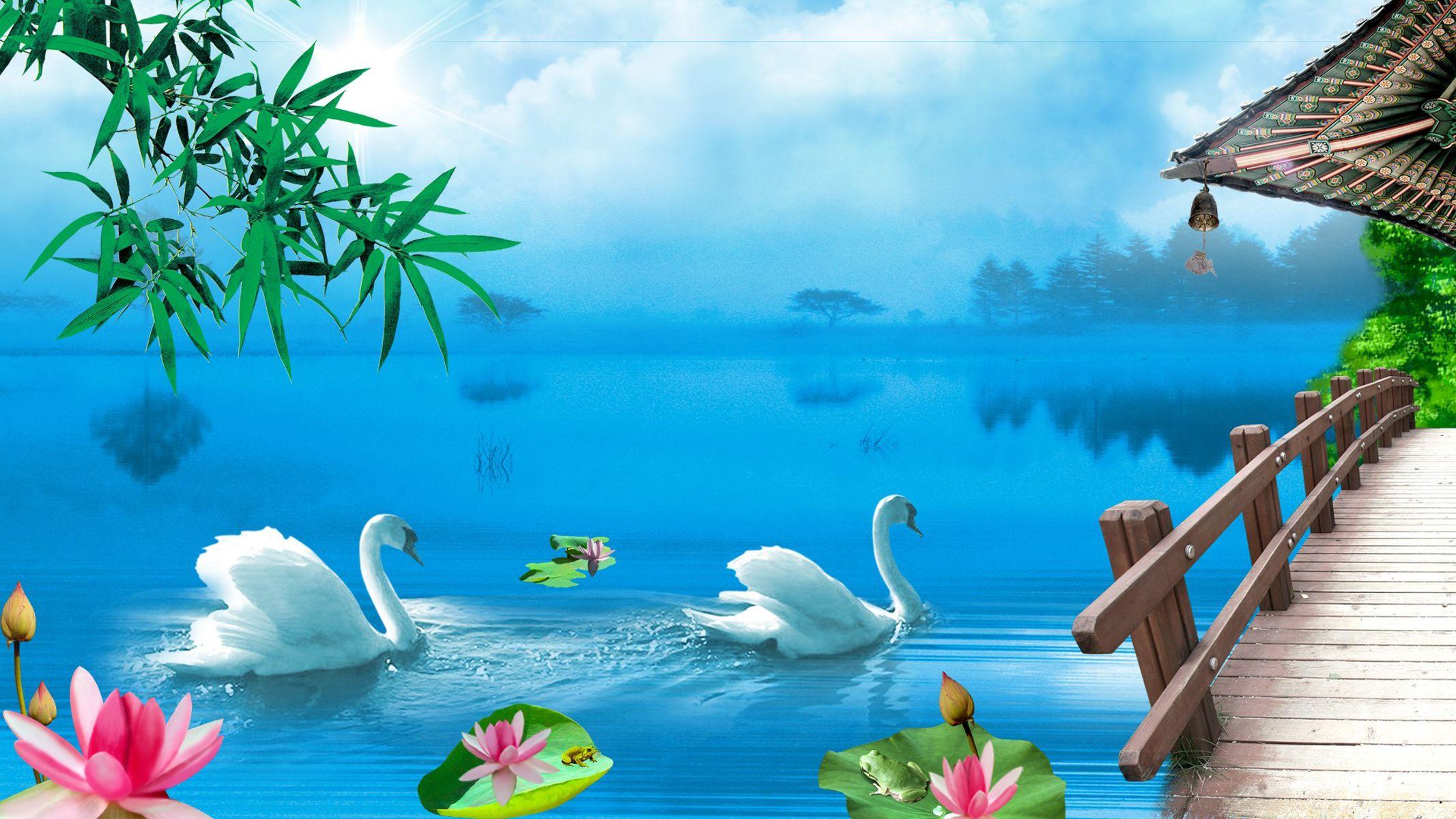 Beautiful Swan Lake Wallpapers Top Free Beautiful Swan Lake