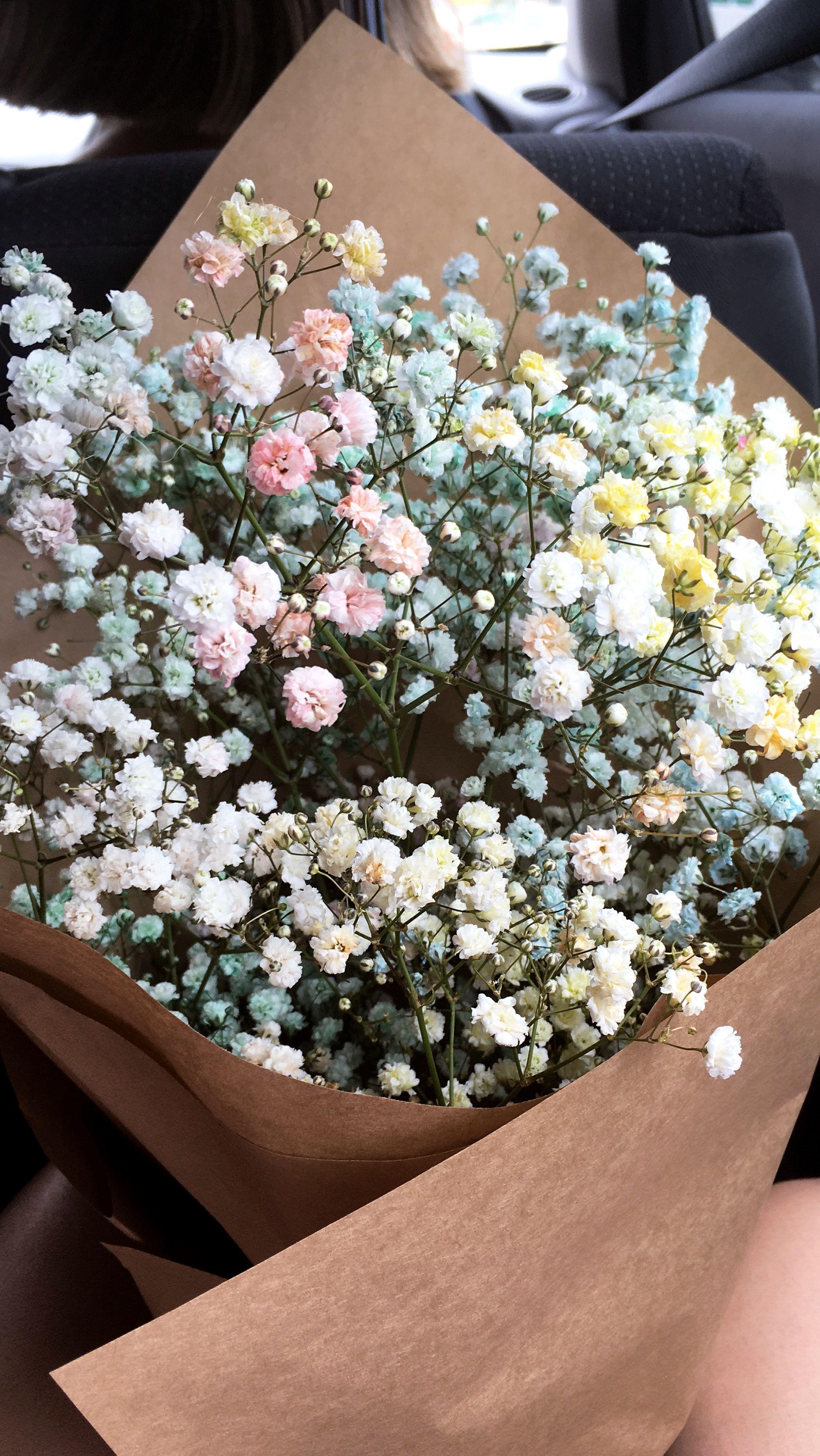 Baby Breath Wallpapers Top Free Baby Breath Backgrounds WallpaperAccess