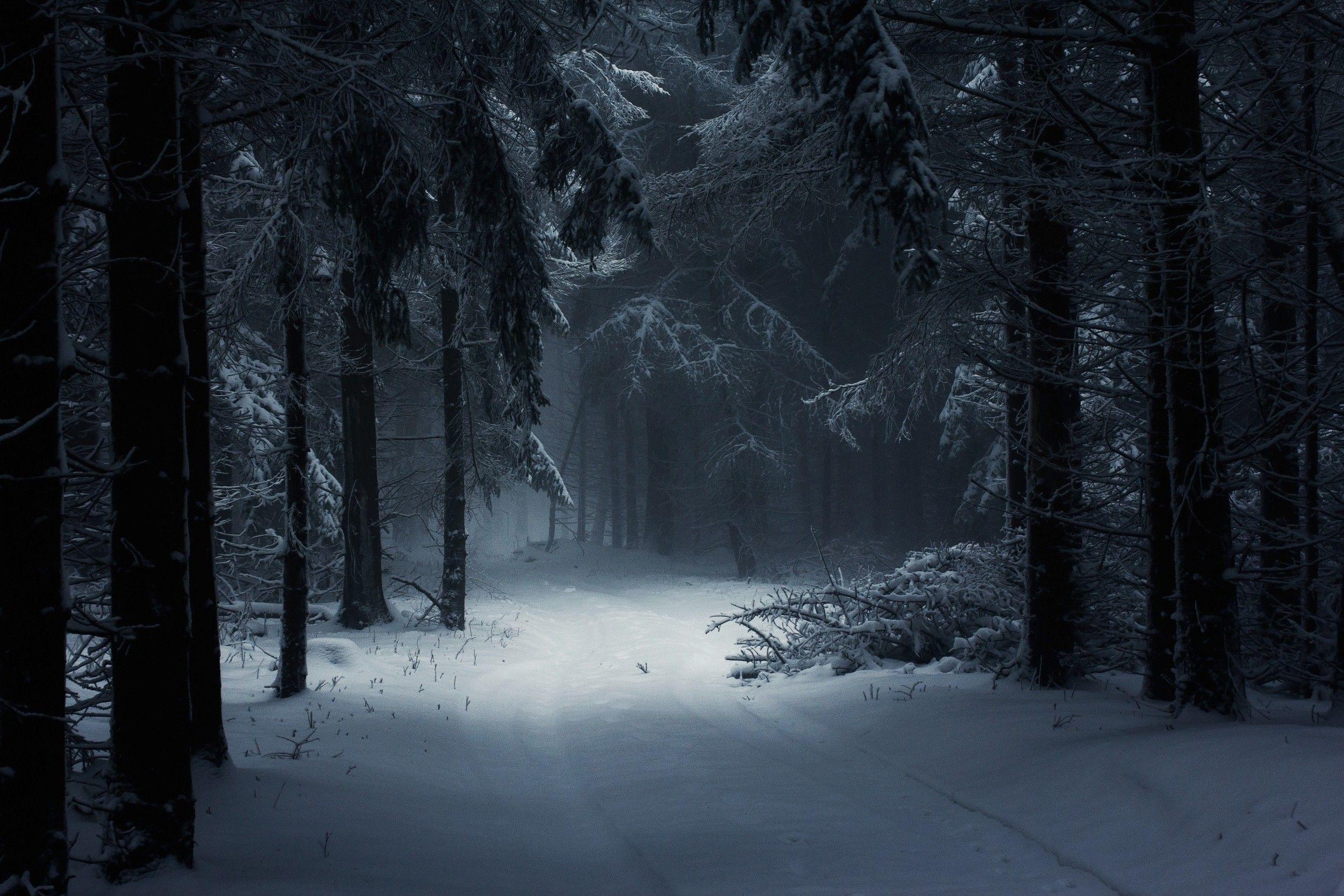 Dark Winter Wallpapers Top Free Dark Winter Backgrounds WallpaperAccess