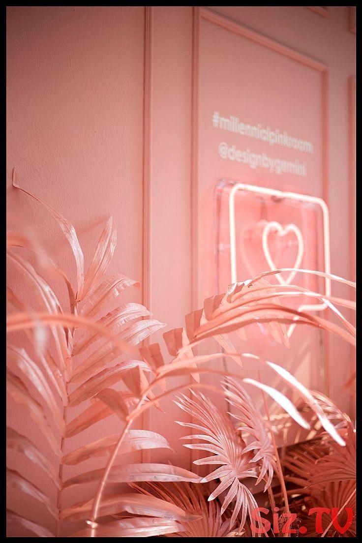 Millennial Wallpapers Top Free Millennial Backgrounds WallpaperAccess