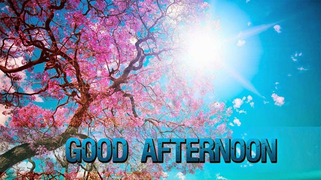 Good Afternoon Wallpapers Top Free Good Afternoon Backgrounds