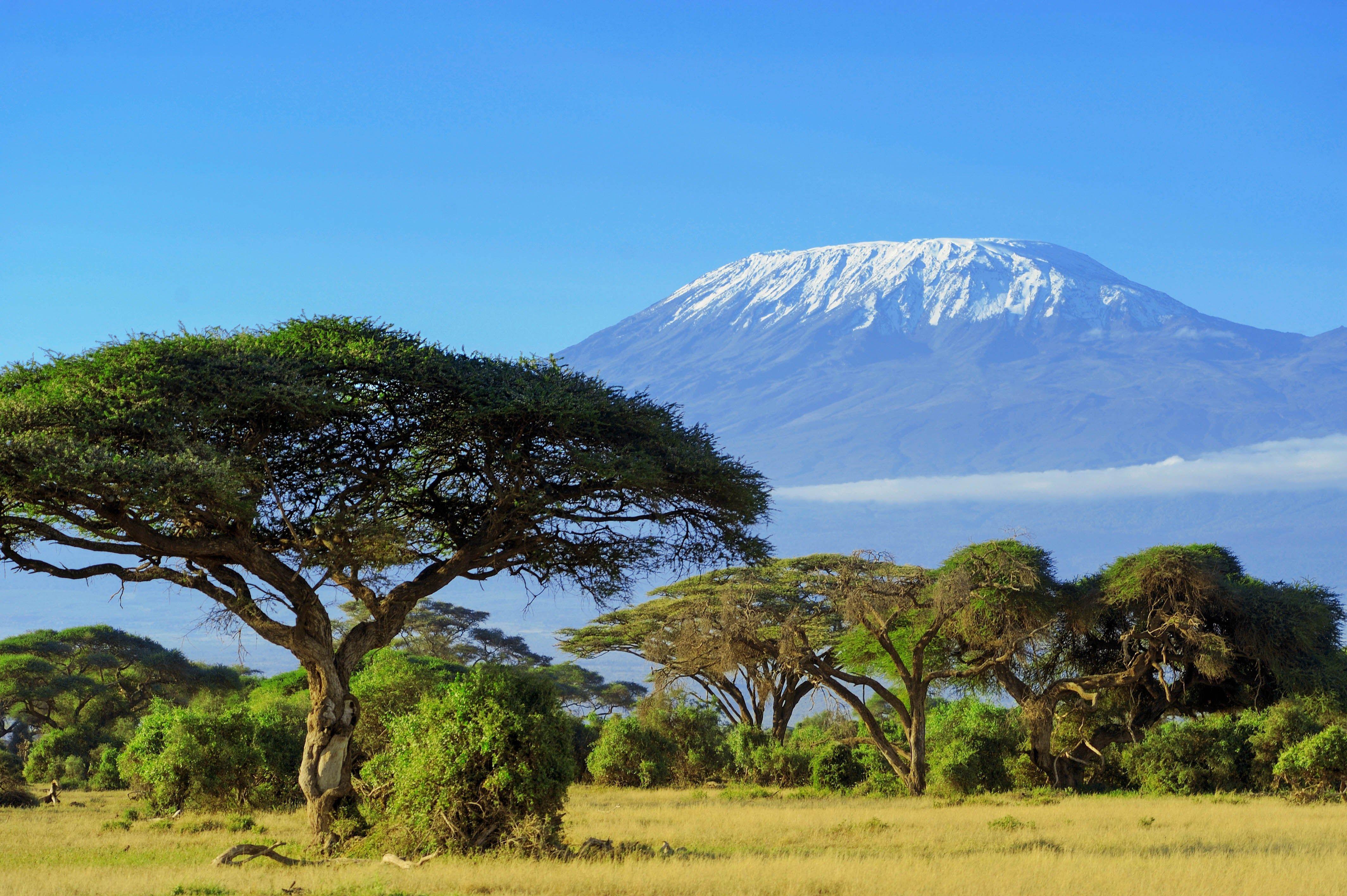 Kilimanjaro Wallpapers Top Free Kilimanjaro Backgrounds WallpaperAccess