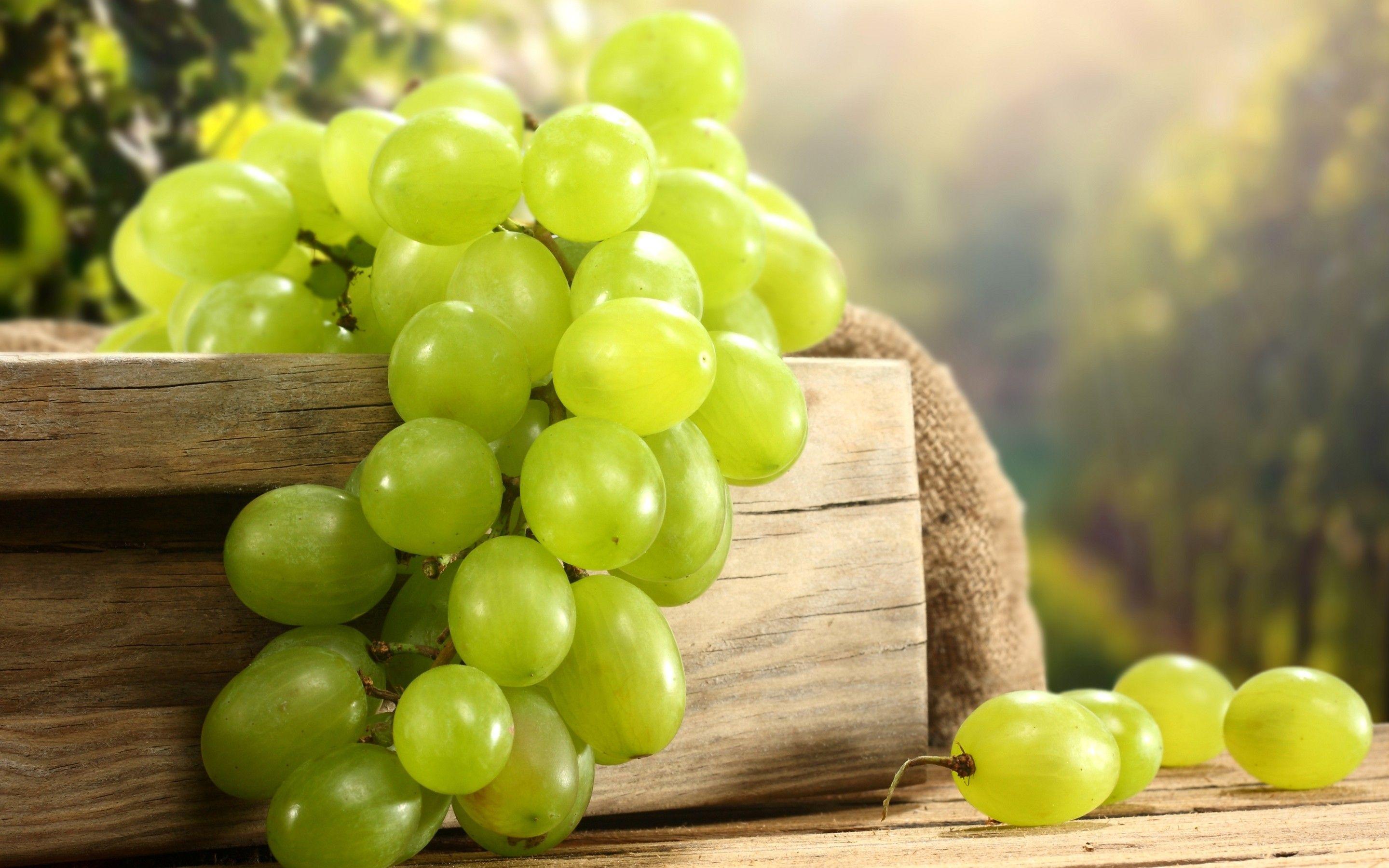 Grapes Wallpapers Top Free Grapes Backgrounds WallpaperAccess