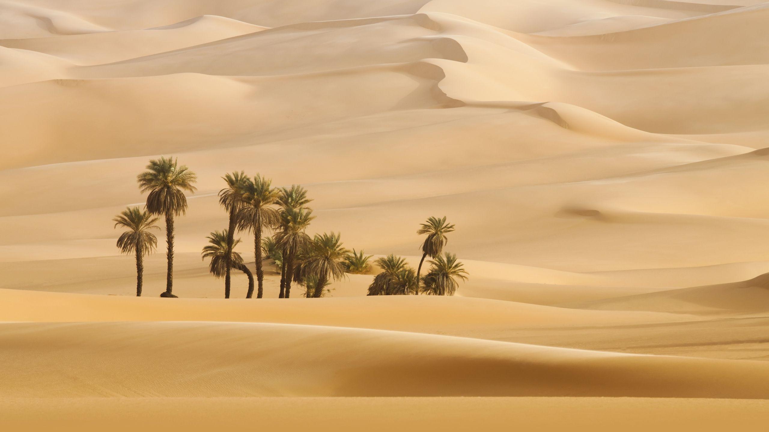 Dubai Desert Wallpapers Top Free Dubai Desert Backgrounds WallpaperAccess