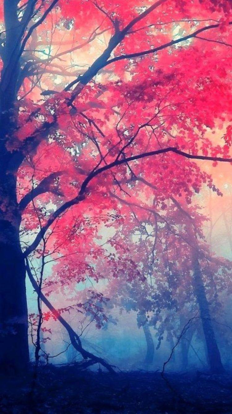 Pink Forest Wallpapers Top Free Pink Forest Backgrounds WallpaperAccess
