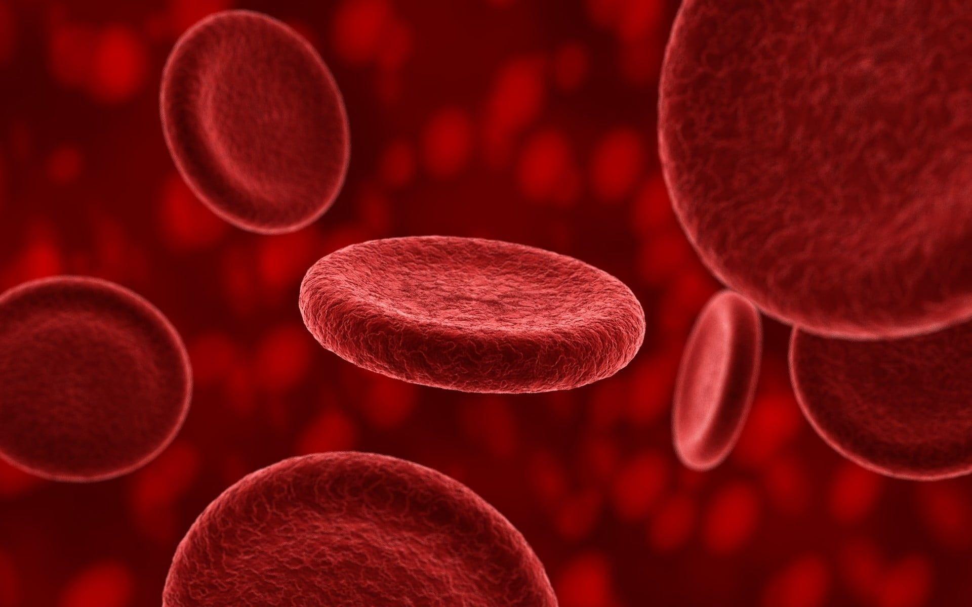 Blood Cell Wallpapers - Top Free Blood Cell Backgrounds - WallpaperAccess
