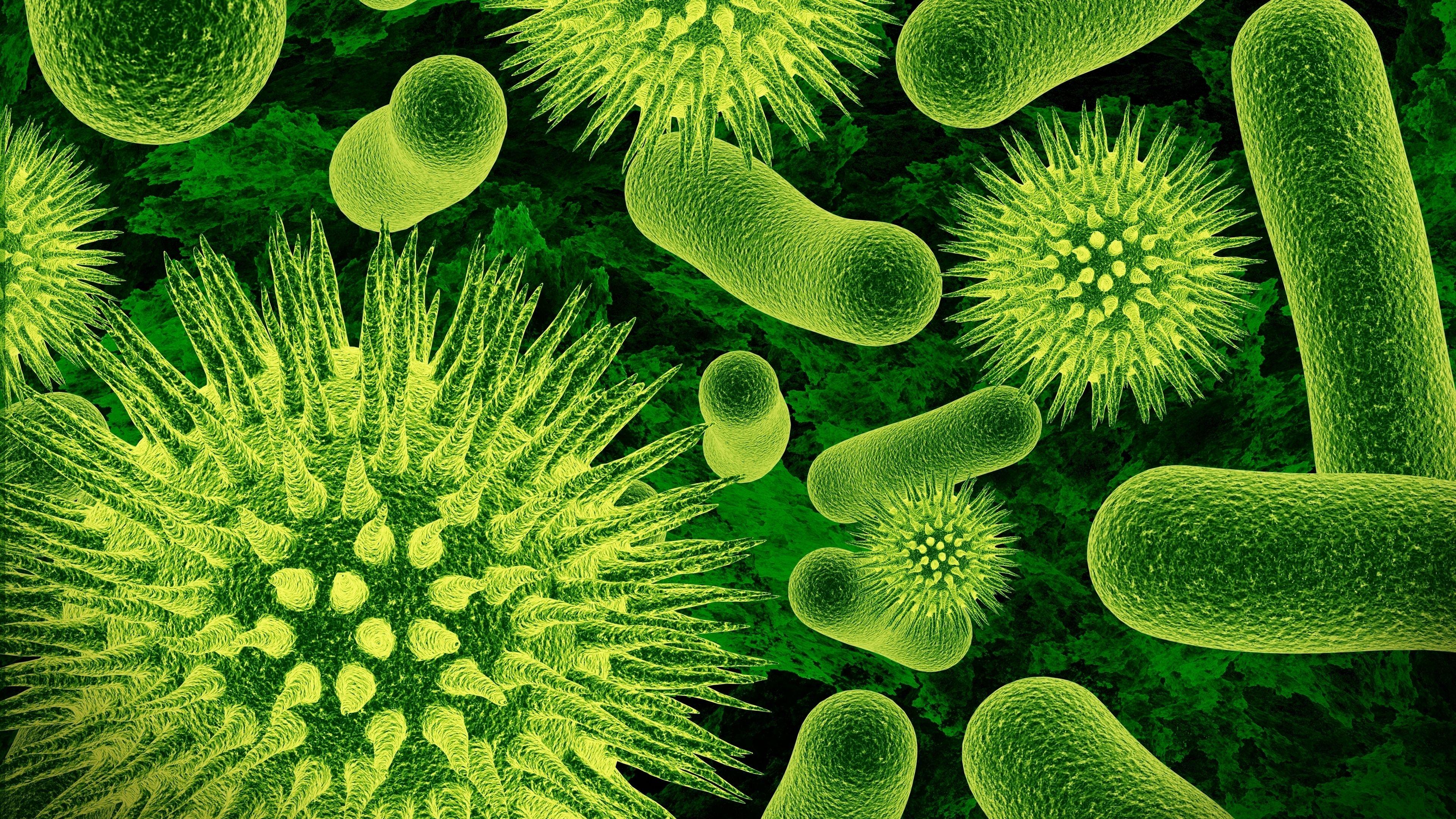 Germs Wallpapers Top Free Germs Backgrounds WallpaperAccess