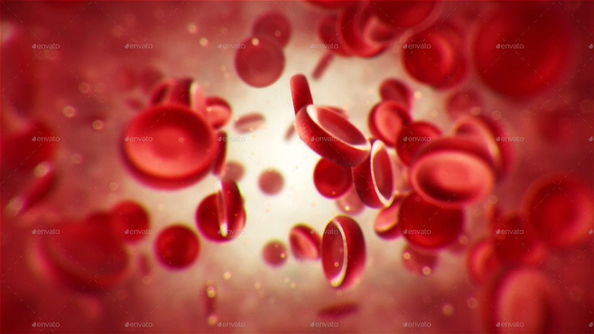 Blood Cell Wallpapers Top Free Blood Cell Backgrounds WallpaperAccess