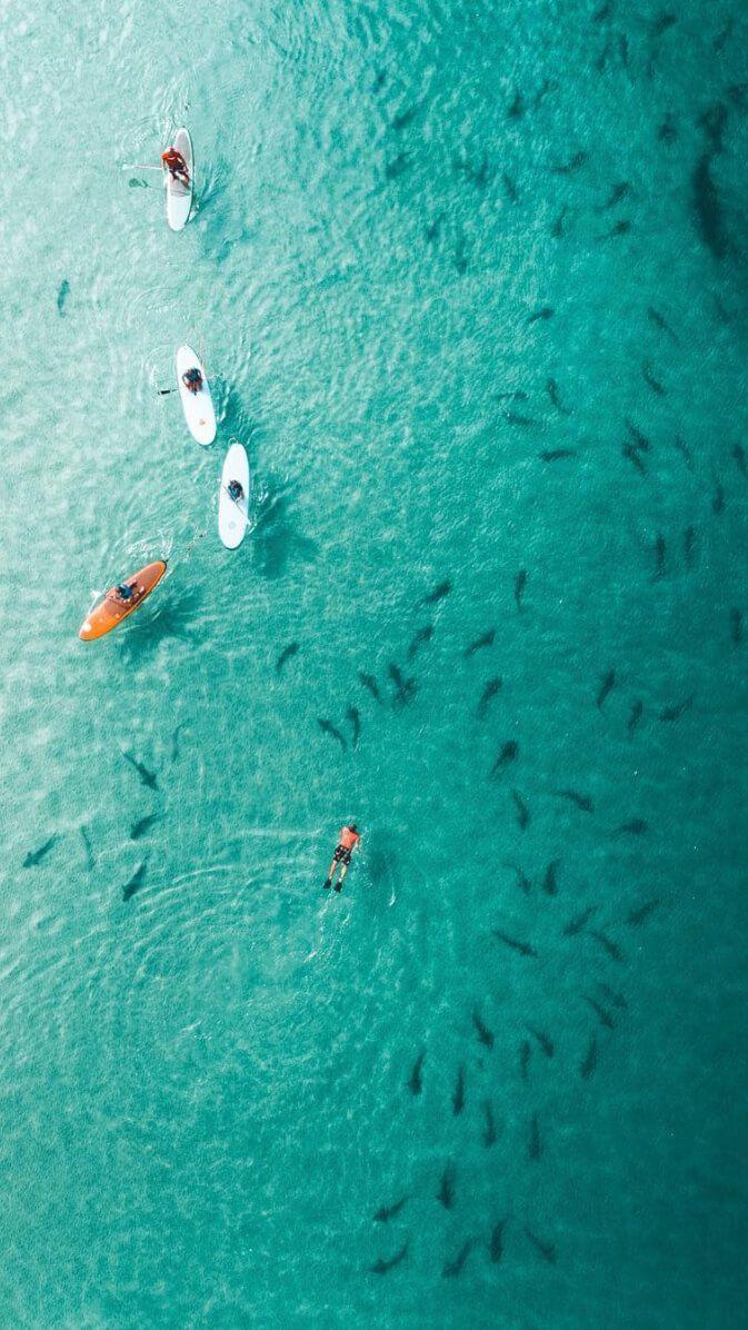 Drone 4K Wallpapers Top Free Drone 4K Backgrounds WallpaperAccess