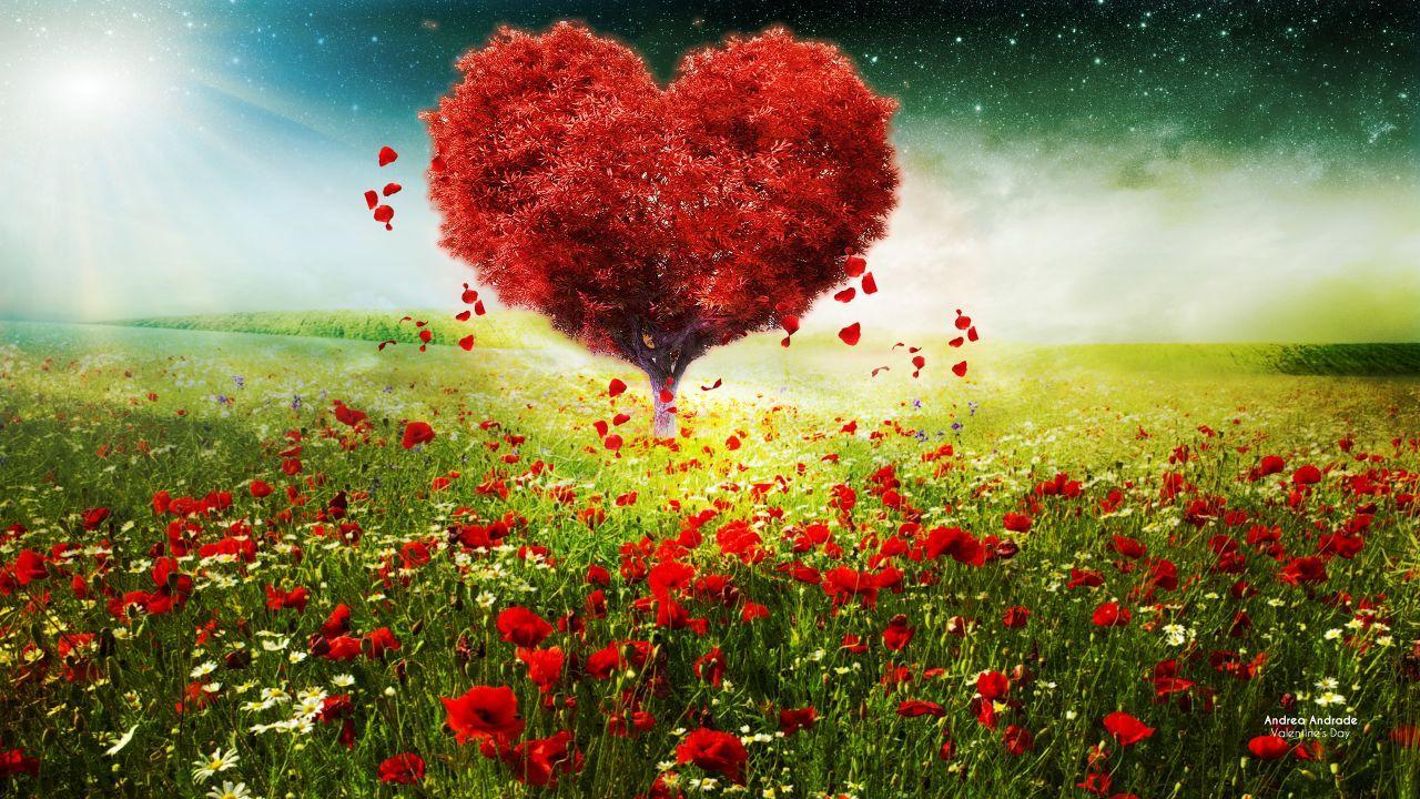 Heart Tree Wallpapers Top Free Heart Tree Backgrounds WallpaperAccess