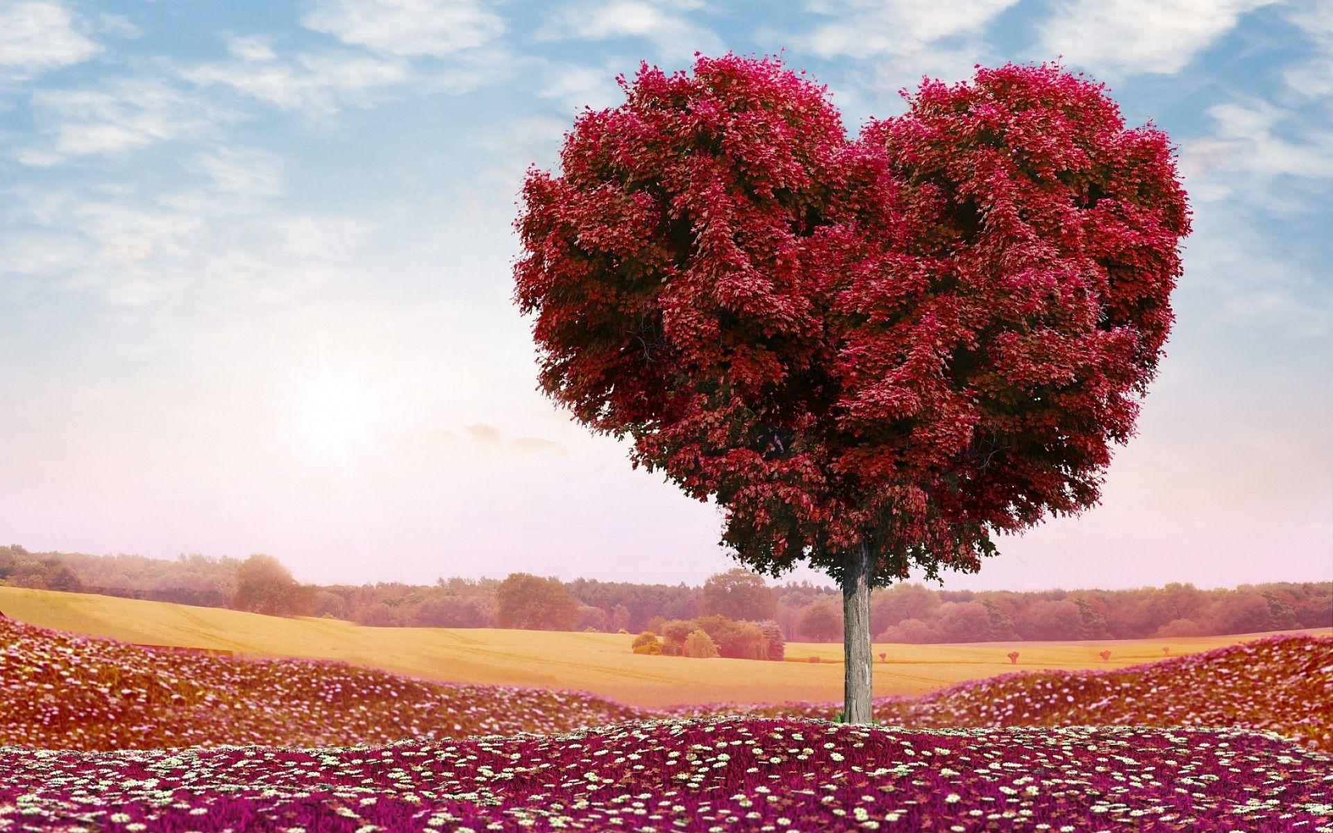Heart Tree Wallpapers Top Free Heart Tree Backgrounds WallpaperAccess