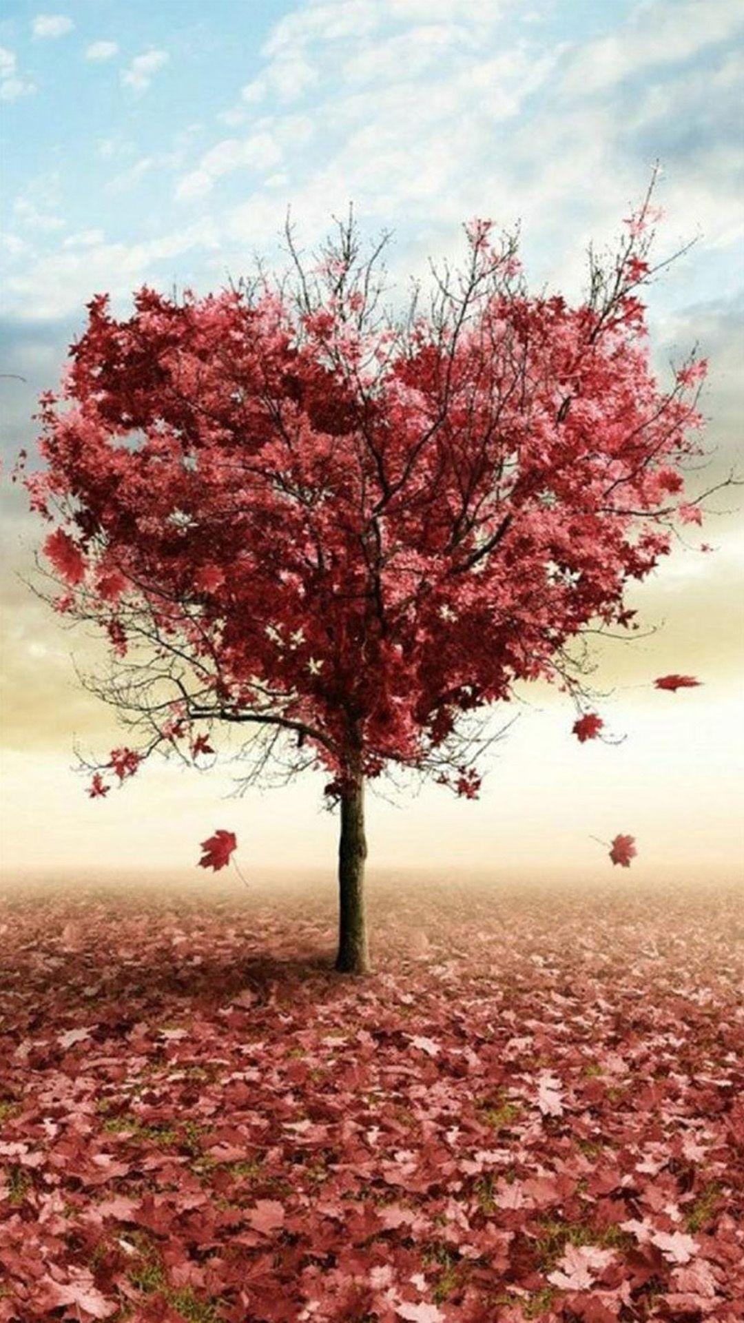 Heart Tree Wallpapers Top Free Heart Tree Backgrounds WallpaperAccess