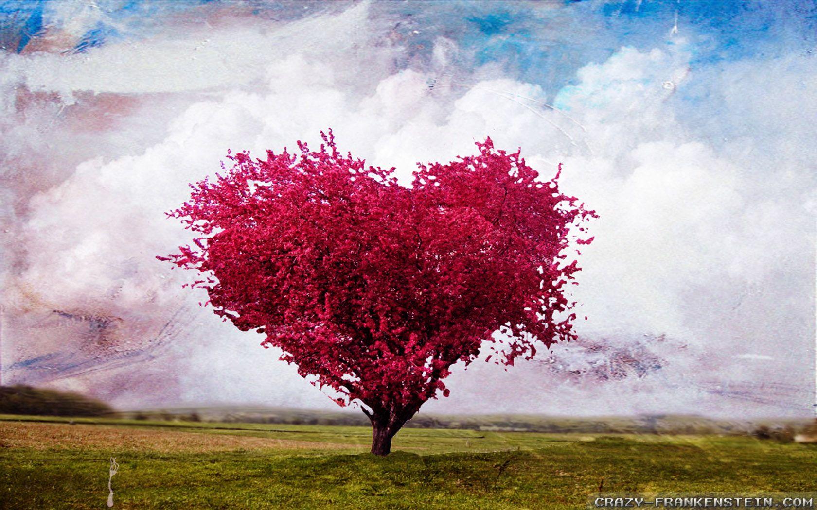 Heart Tree Wallpapers Top Free Heart Tree Backgrounds WallpaperAccess