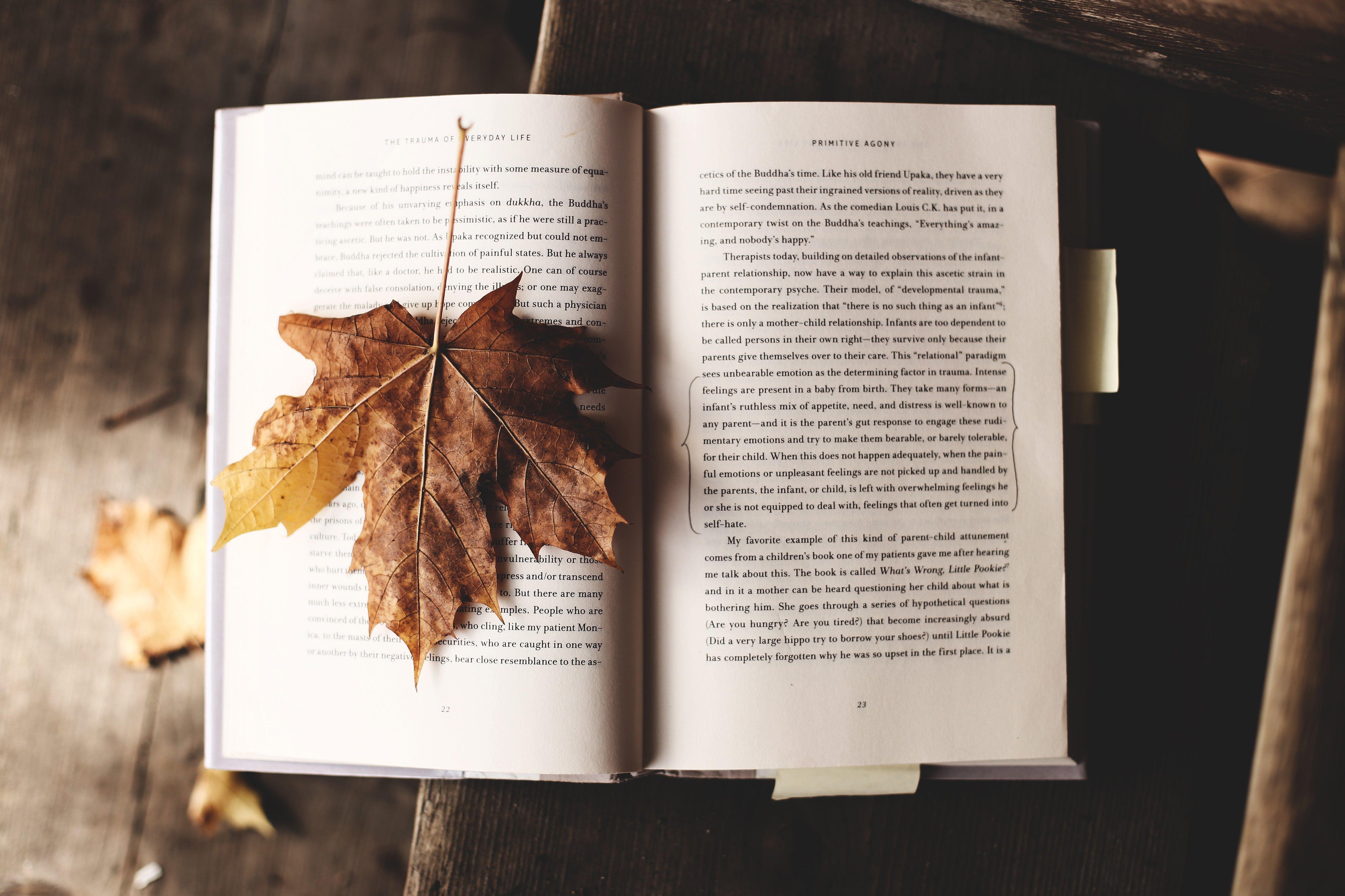 Book Aesthetic Desktop Wallpapers Top Free Book Aesthetic Desktop