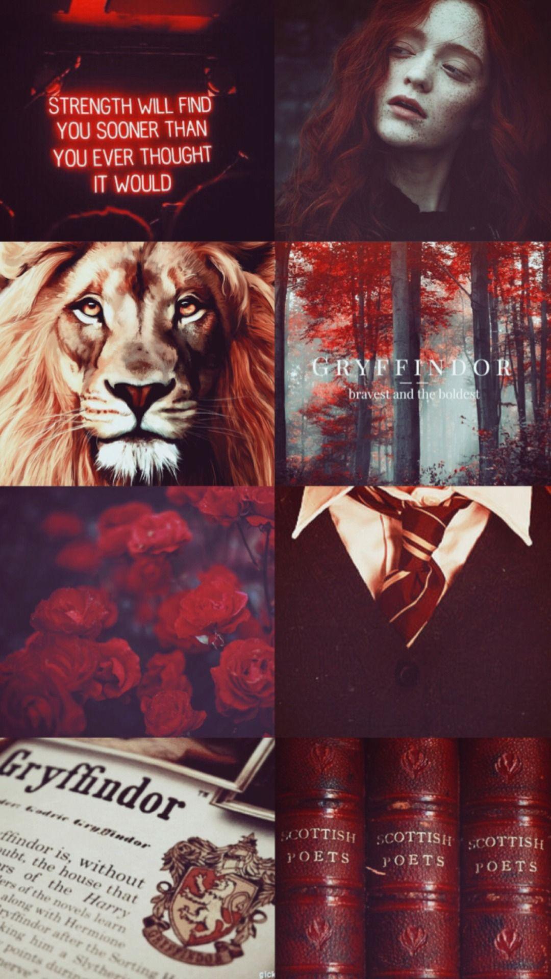 Gryffindor Aesthetic Wallpapers Top Free Gryffindor Aesthetic
