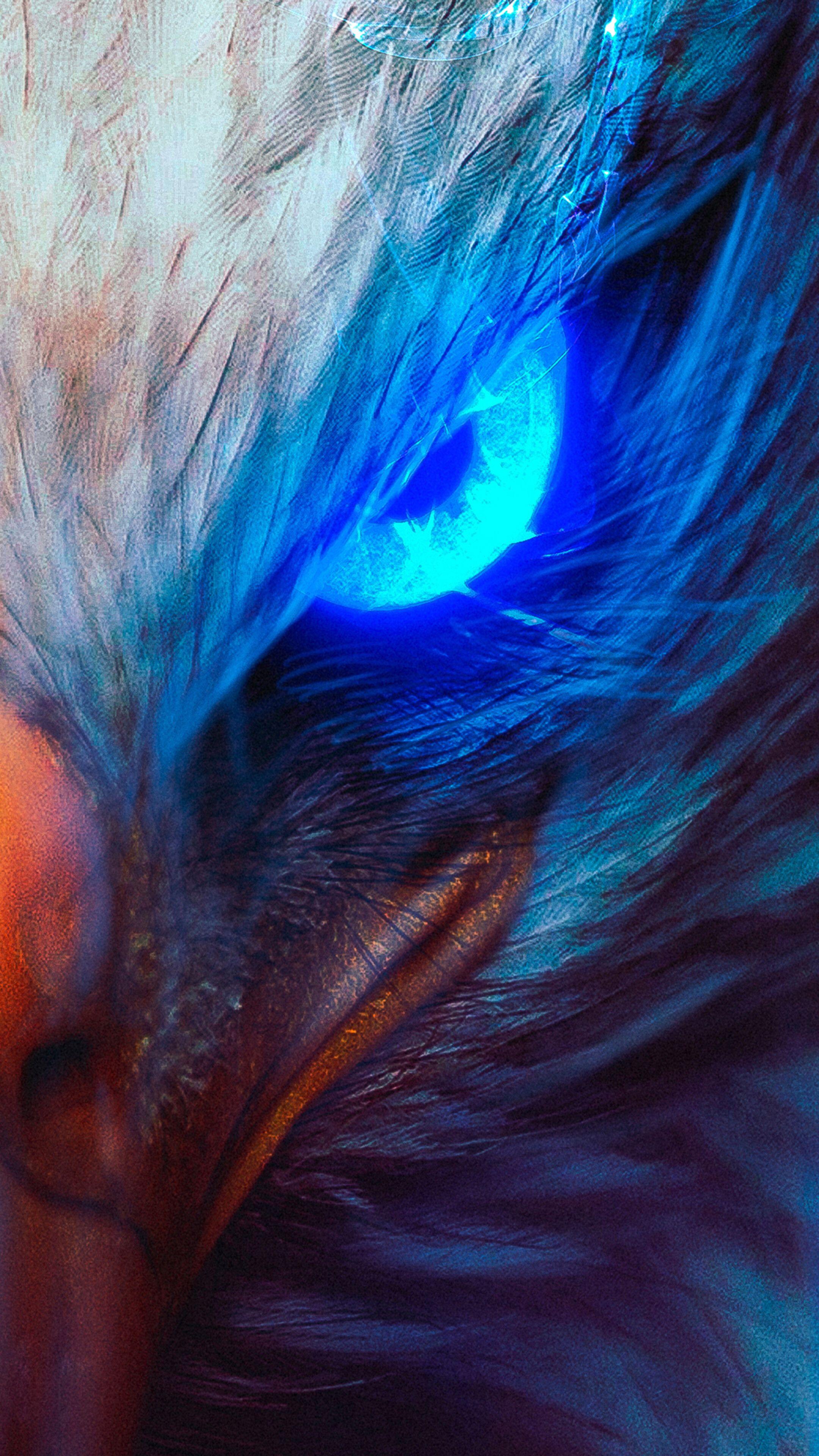 Eagle Eye Wallpapers Top Free Eagle Eye Backgrounds WallpaperAccess