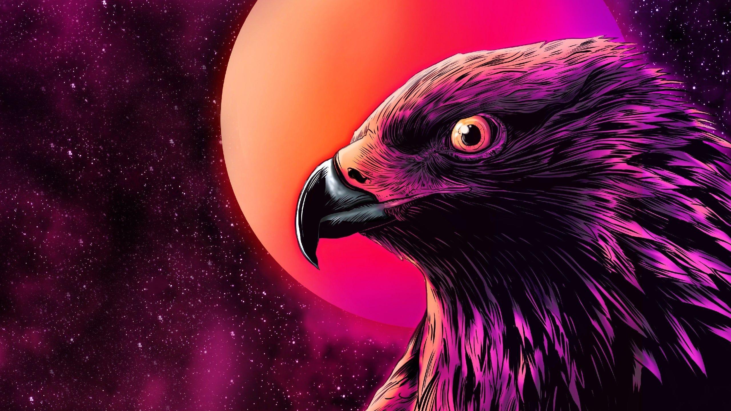 Eagle Wallpapers Top Free Eagle Backgrounds WallpaperAccess