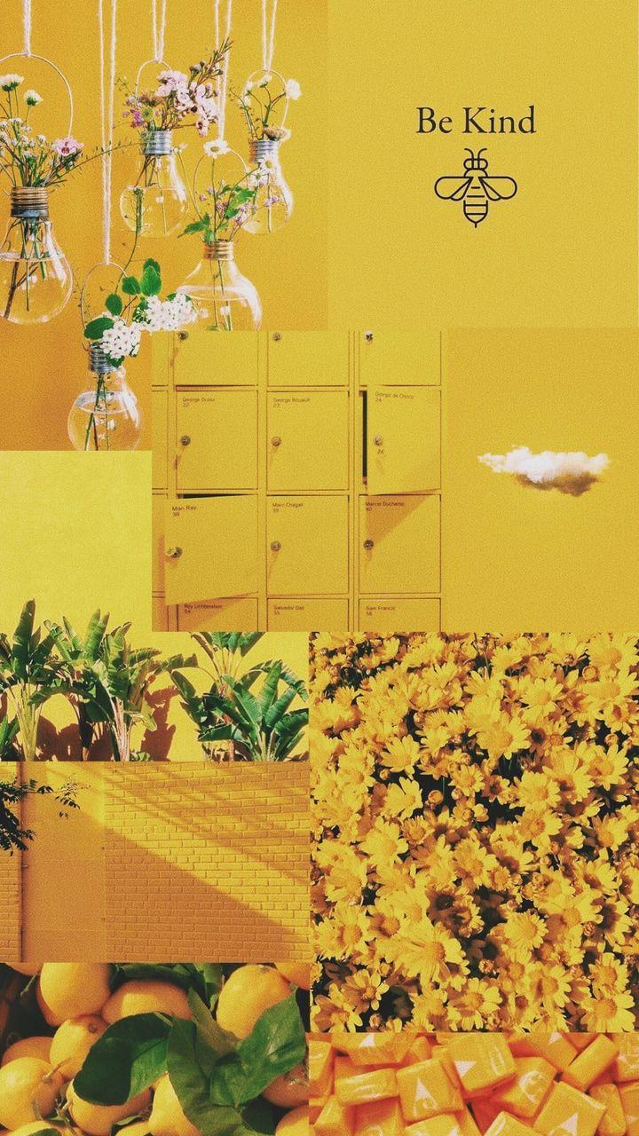 Yellow Collage Wallpapers Top Free Yellow Collage Backgrounds