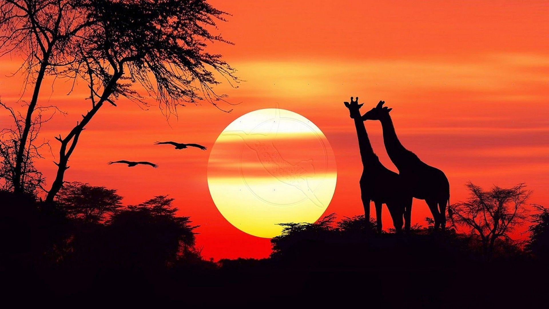 African Sunset Wallpapers Top Free African Sunset Backgrounds