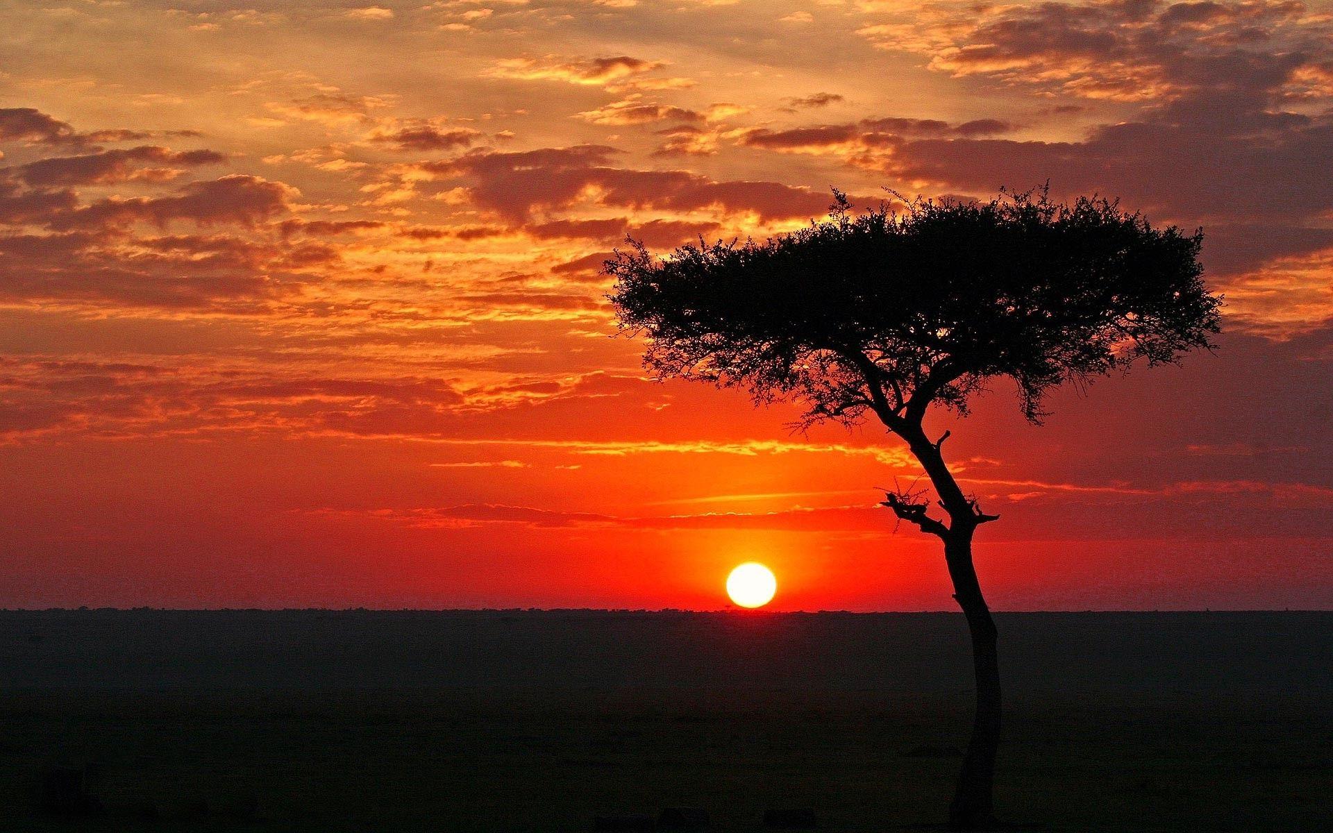 African Sunset Wallpapers Top Free African Sunset Backgrounds