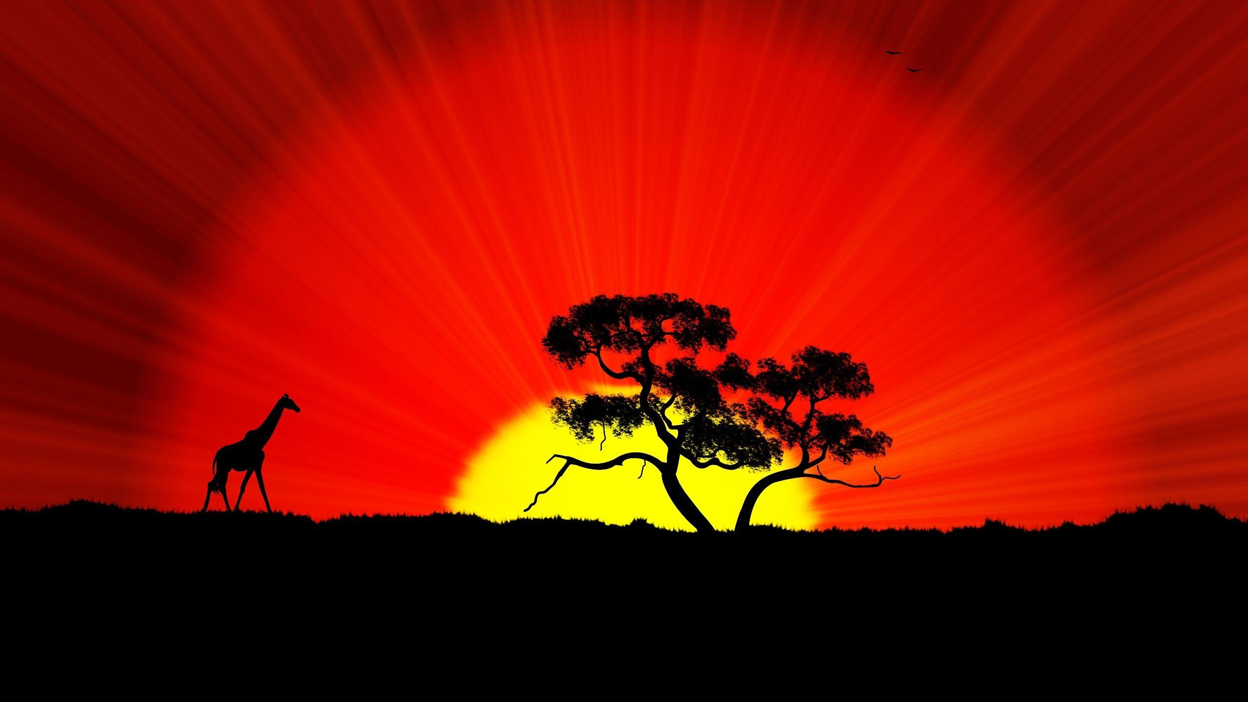 African Sunset Wallpapers Top Free African Sunset Backgrounds
