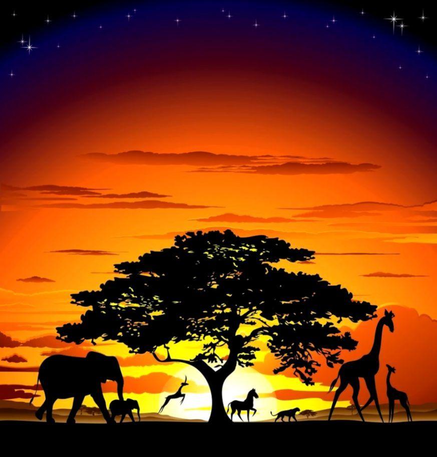 African Sunset Wallpapers Top Free African Sunset Backgrounds