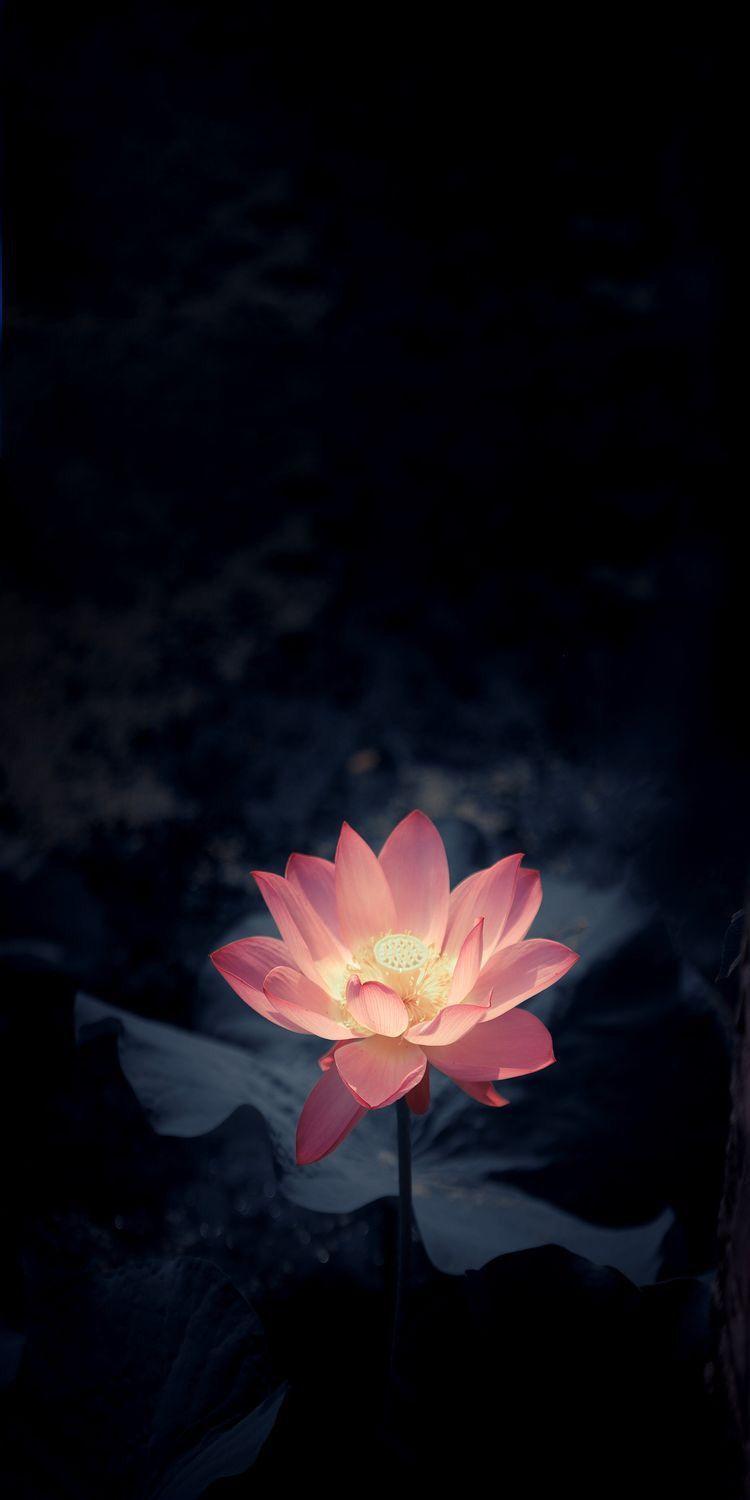 Jio Wallpapers Top Free Jio Backgrounds WallpaperAccess