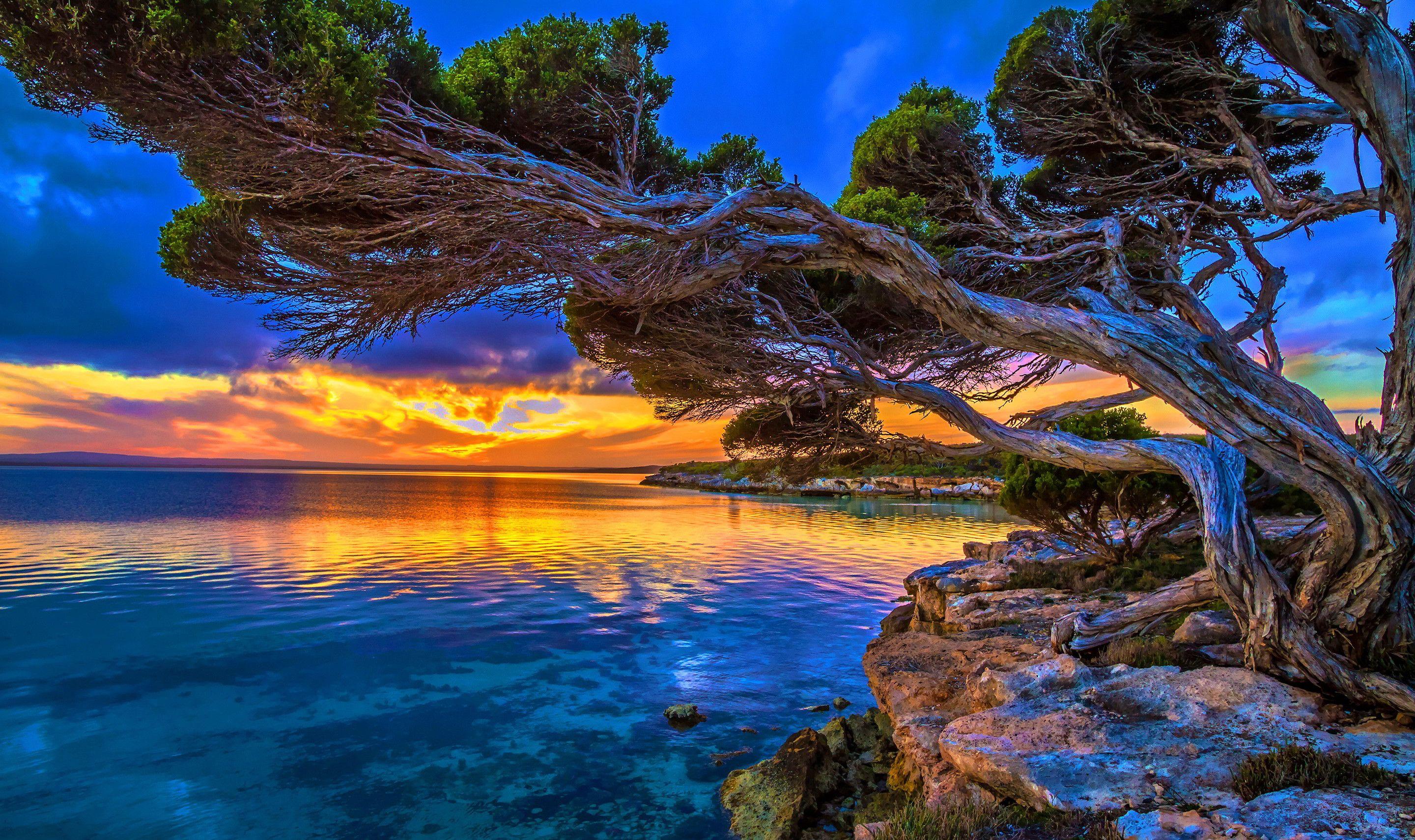 Mother Earth Wallpapers Top Free Mother Earth Backgrounds